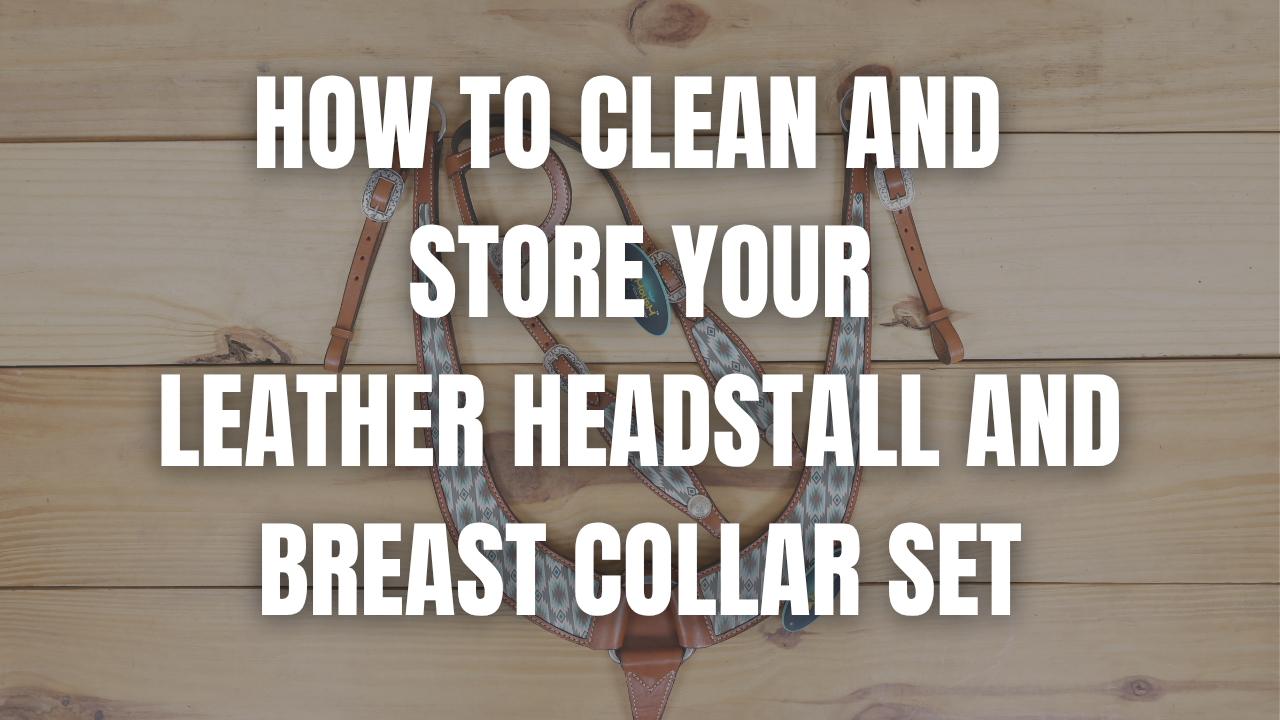 How to Clean and Store Your Leather Headstall and Breast Collar Set