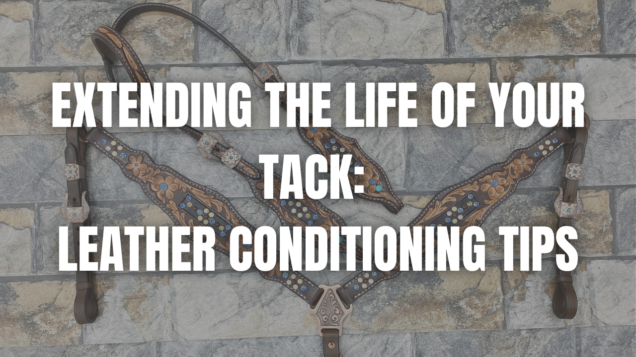 Extending the Life of Your Tack: Leather Conditioning Tips