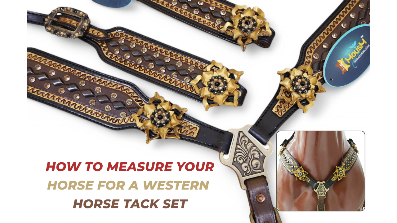 How to Measure Your Horse for a Western Tack Set