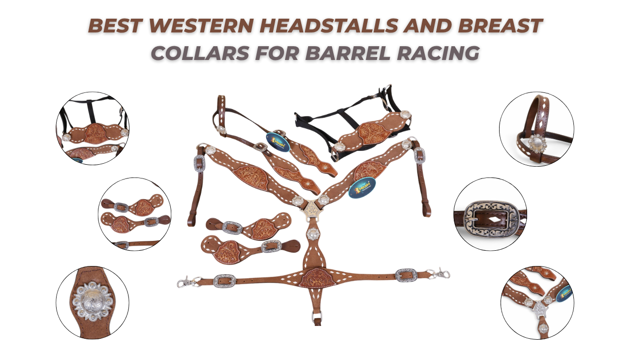 Best Western Headstalls and Breast Collars for Barrel Racing