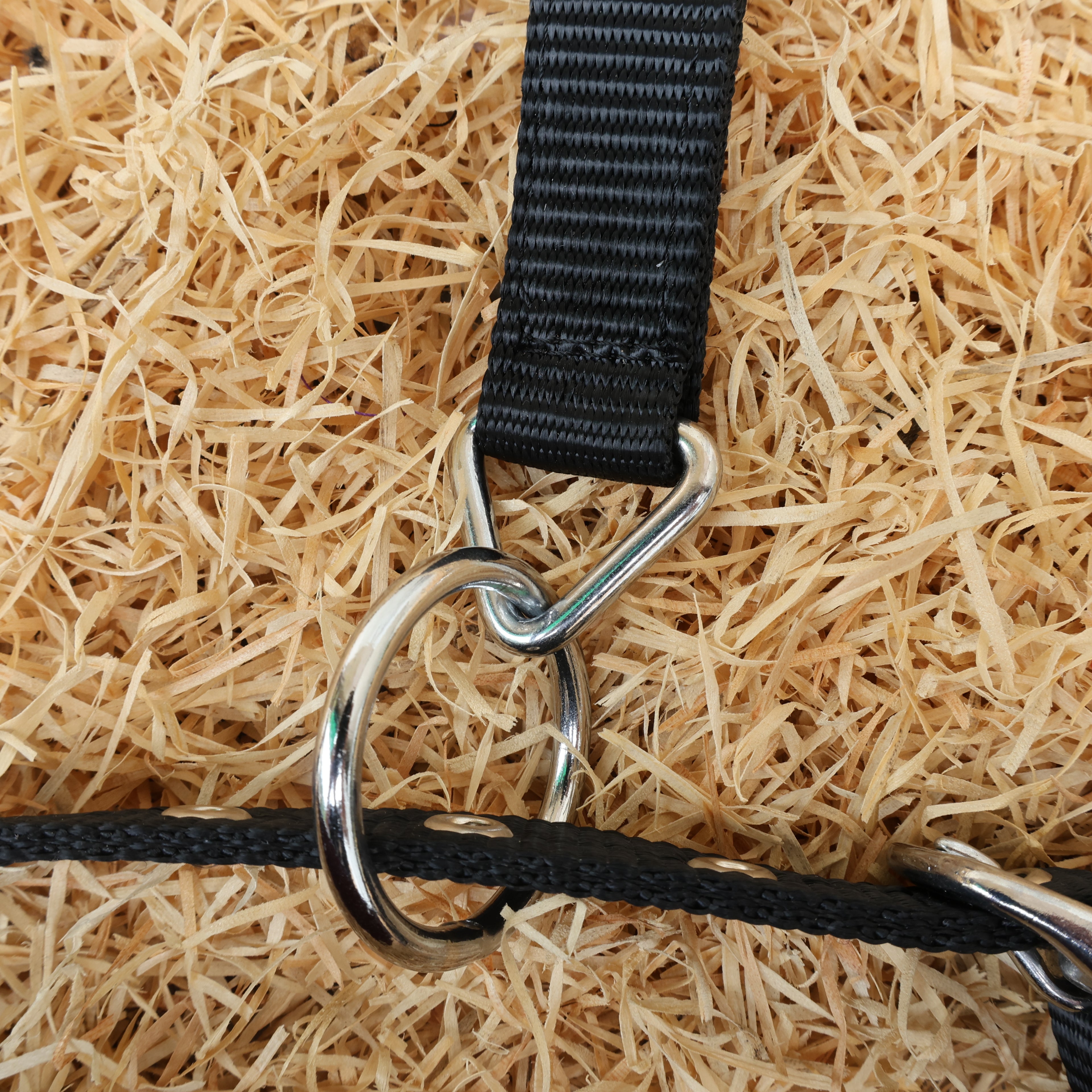 MOUSM Argentina Cow Leather Bronc Halter - Western Horse Noseband Decorated with Orange Metallic Acid Wash Cowhide and Rhinestones Conchos
