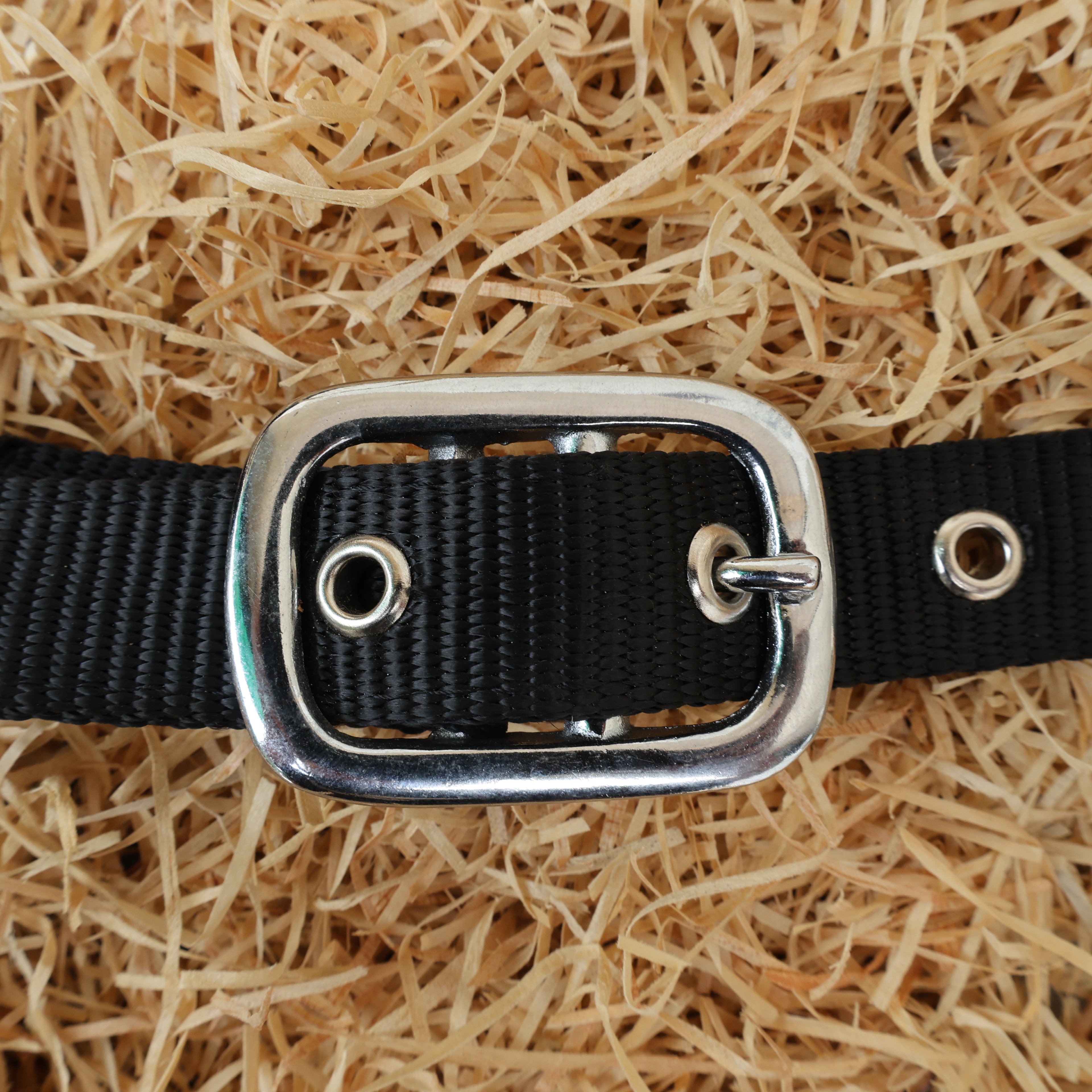 MOUSM Argentina Cow Leather Bronc Halter - Western Horse Noseband Decorated with White Metallic Acid Wash Cowhide and Rhinestones Conchos