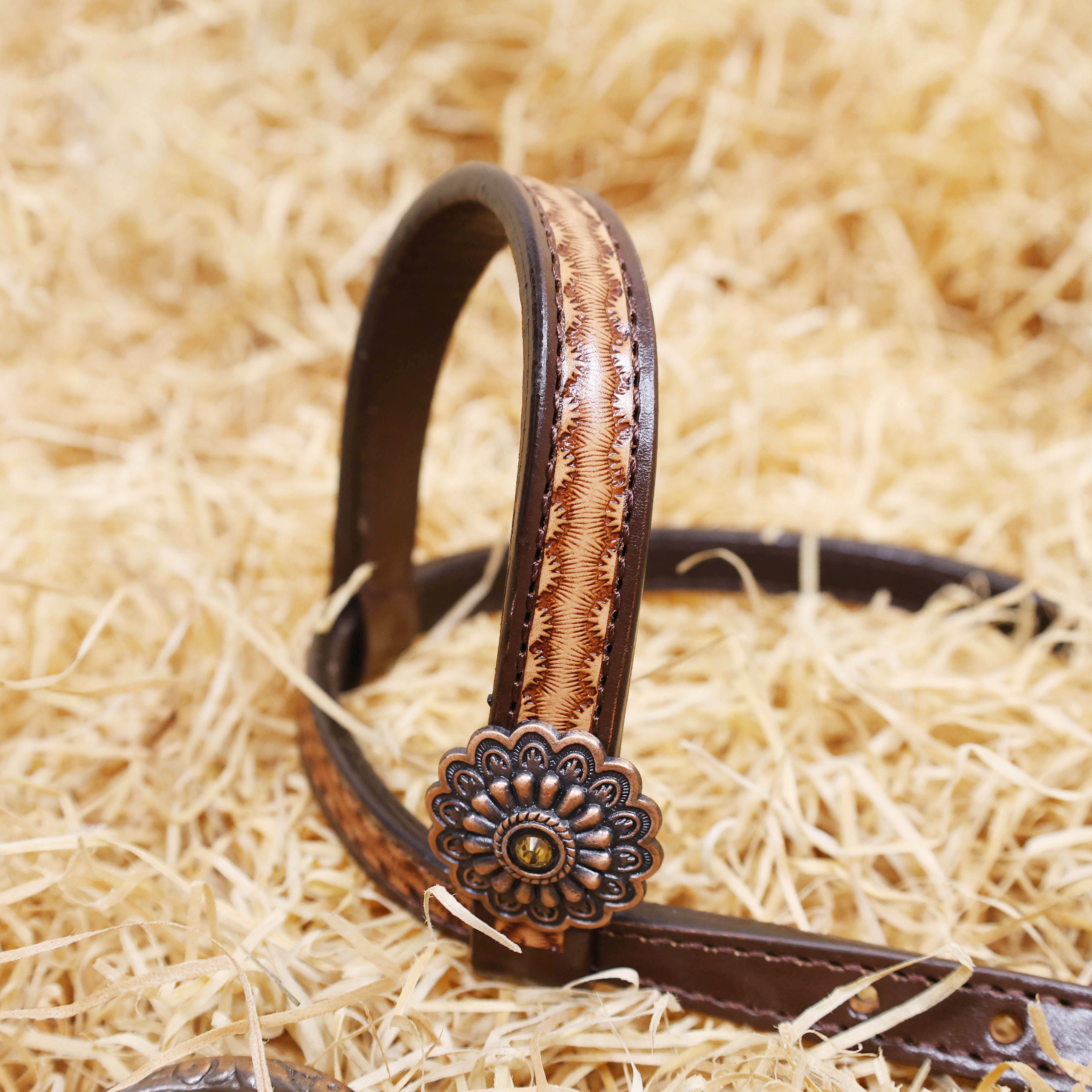 MOUSM Argentina Cow Leather Bridle and Breast Collar Set for Horse, Western Headstall Tack Set with Red Rivets and Copper Studs