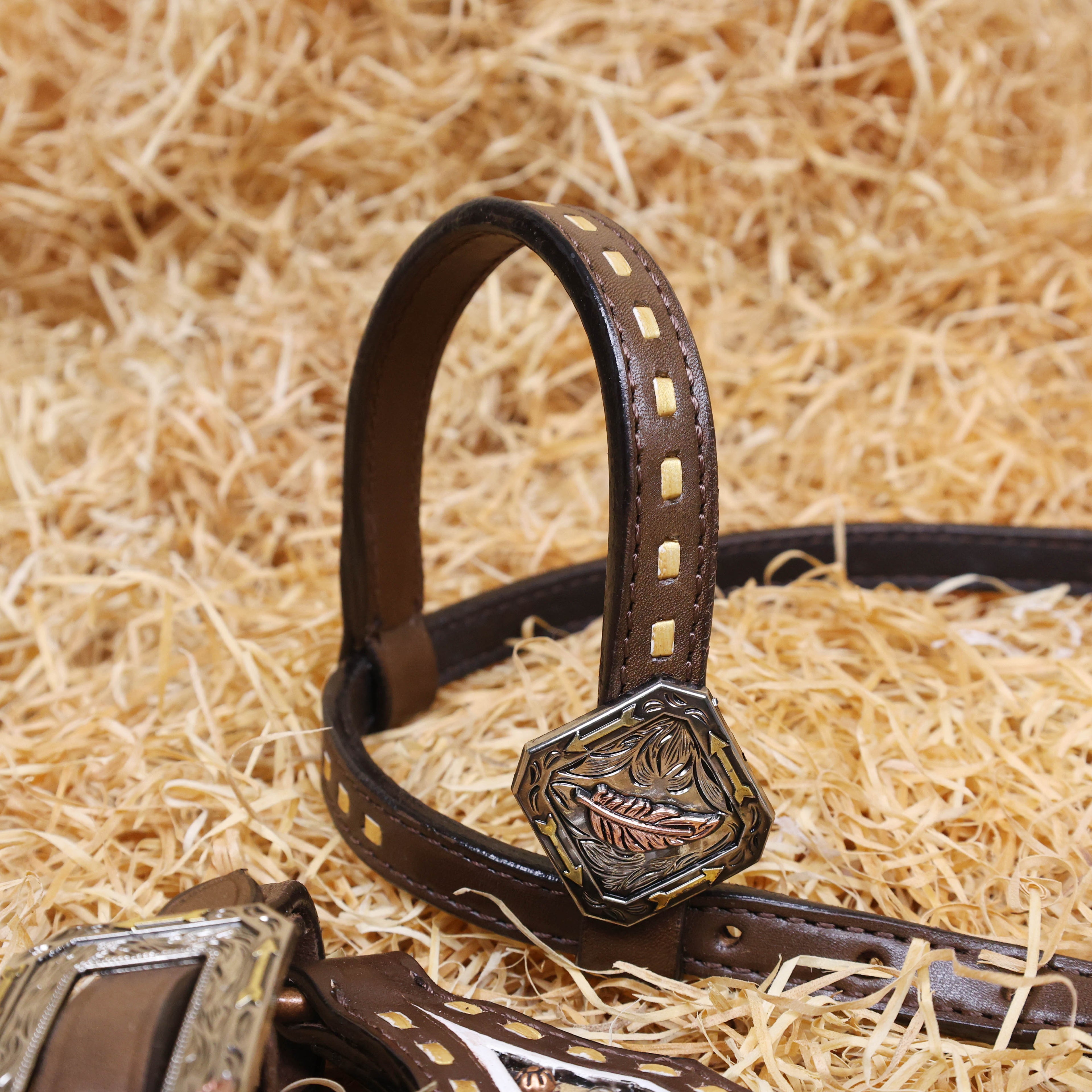 MOUSM Argentina Cow Leather Headstall & Breast Collar Set – Western Bridle with Hand-Carved Golden Oak Leaf Overlay, Copper & Brass Hardware