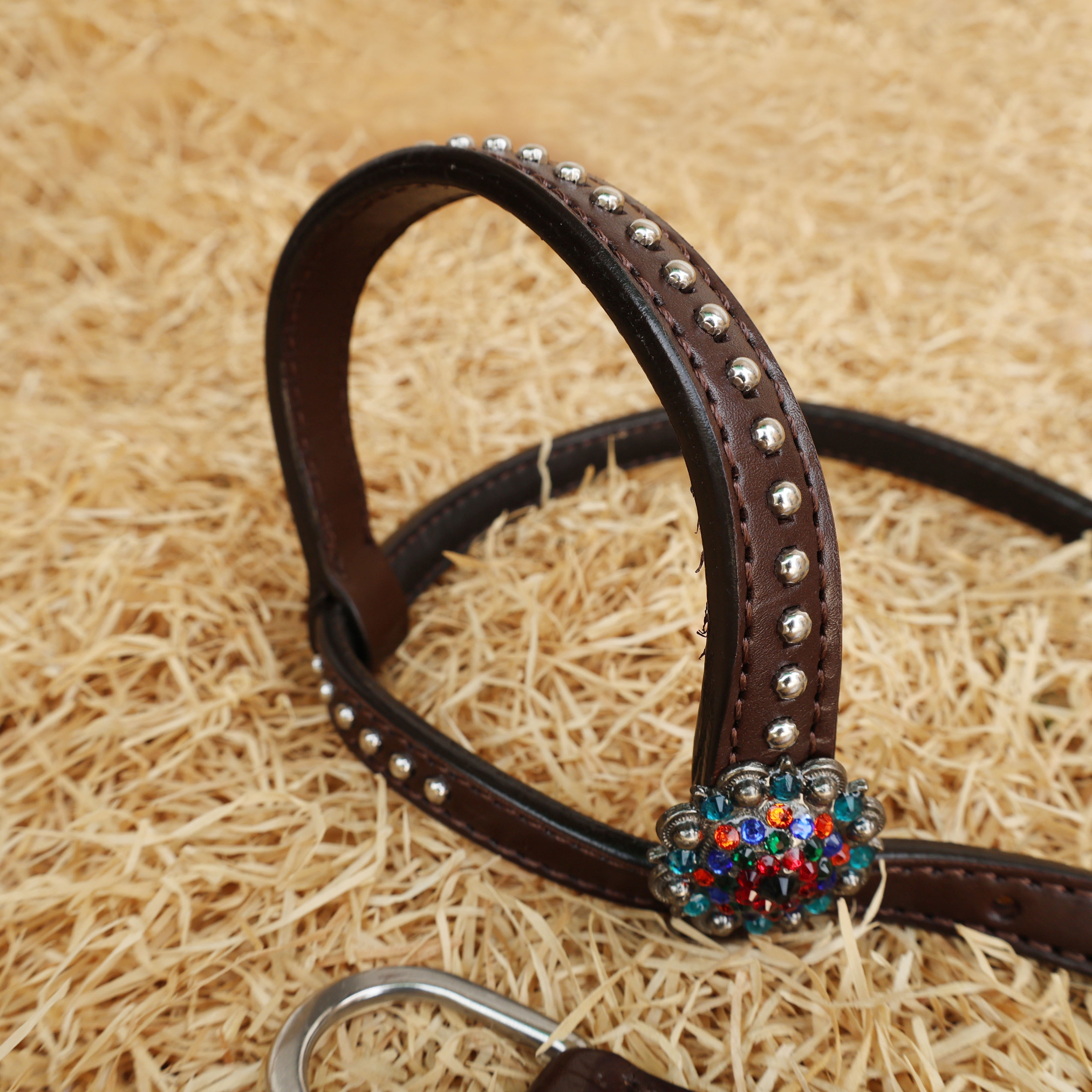 MOUSM Argentina Cow Leather Western Headstall and Breast Collar Set - Decorated with Hand-Tooled & Painted Sugar Skull, Multi-Color Berry Conchos