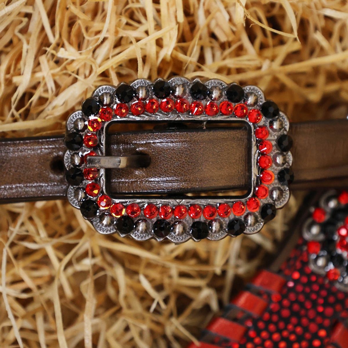 Vibrant Red Holographic Print and Whip Stitching Headstall Set