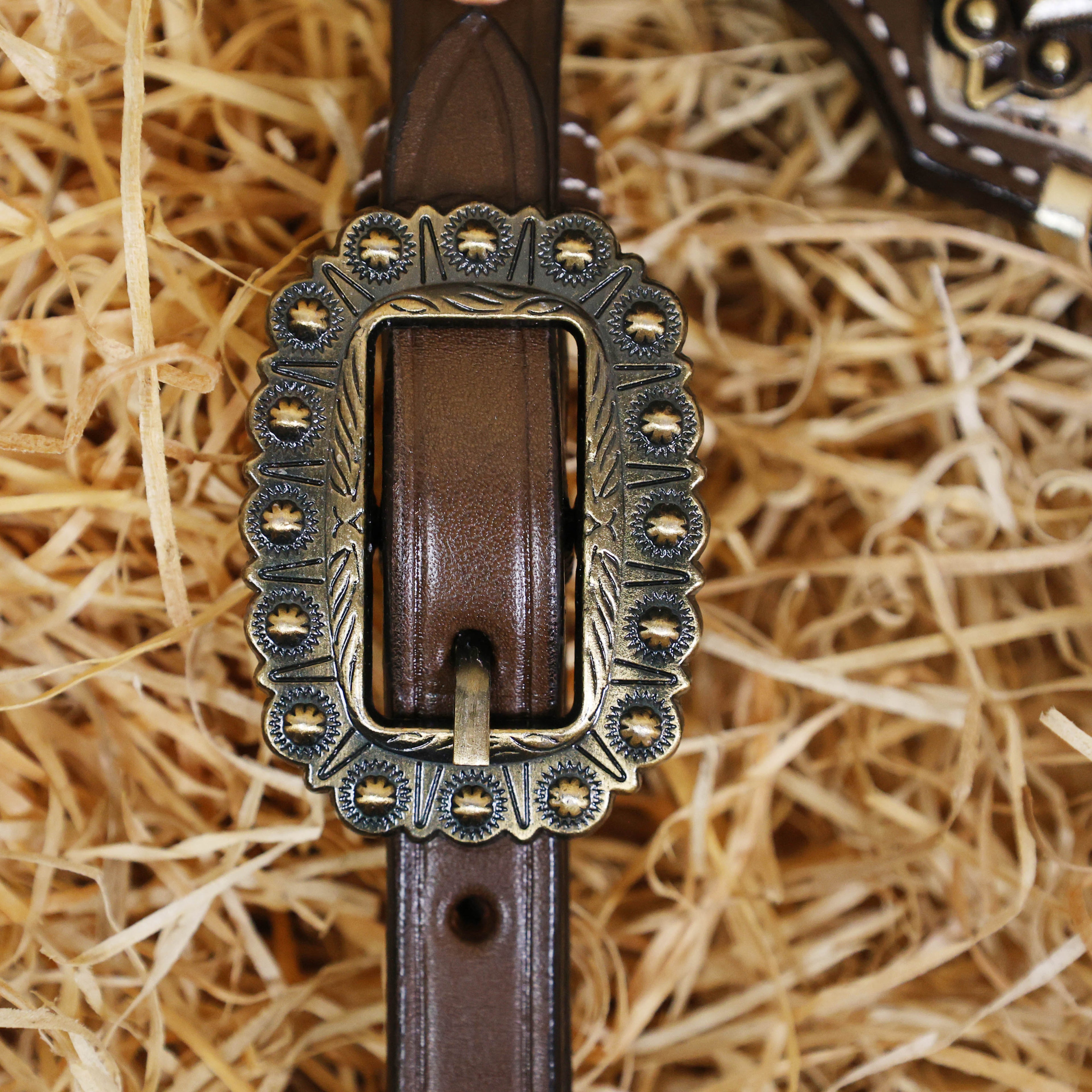 MOUSM Argentina Cow Leather Headstall and Breast Collar Set - Western Horse Tack Set Decorated with Jaguar Print Cowhide with Golden Whip Stitching