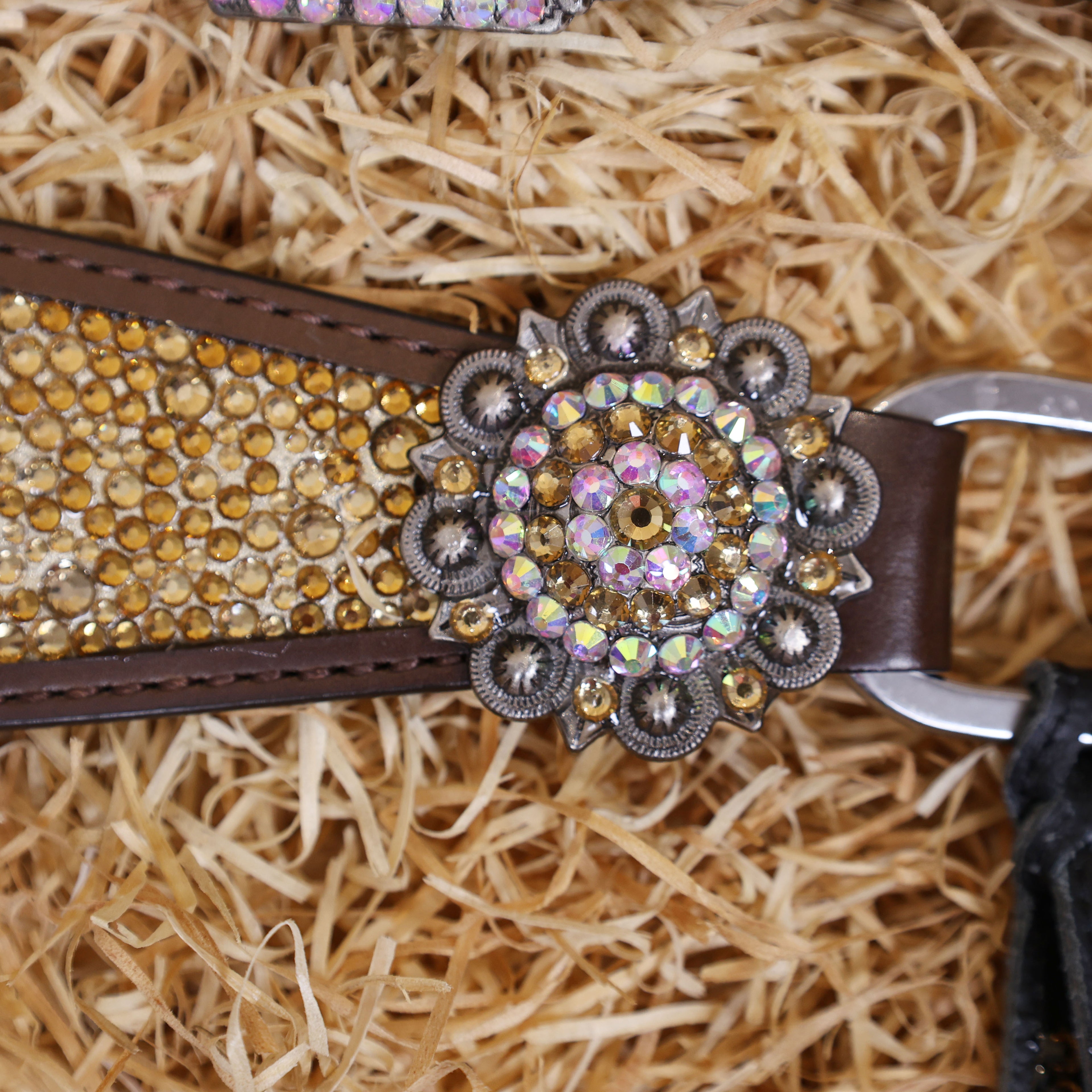 MOUSM Western Headstall and Breast Collar Set – Argentina Cow Leather Horse Tack Set Decorated with Topaz Rhinestones on Gladiator Breast Collar with Roping and Bling Conchos.