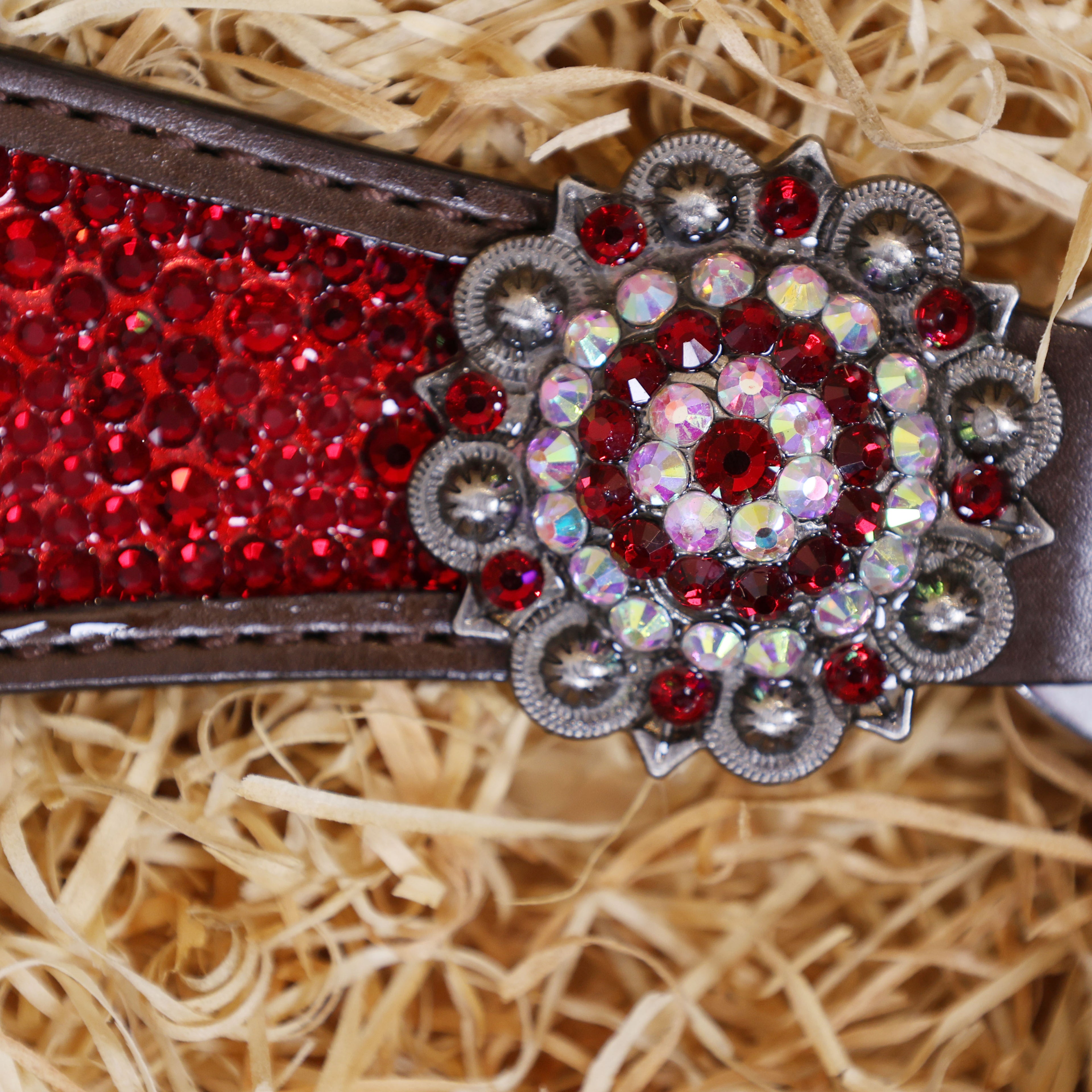MOUSM Western Headstall and Breast Collar Set – Argentina Cow Leather Horse Tack Set Decorated with Red Rhinestones on Gladiator Breast Collar with Roping and Bling Conchos.