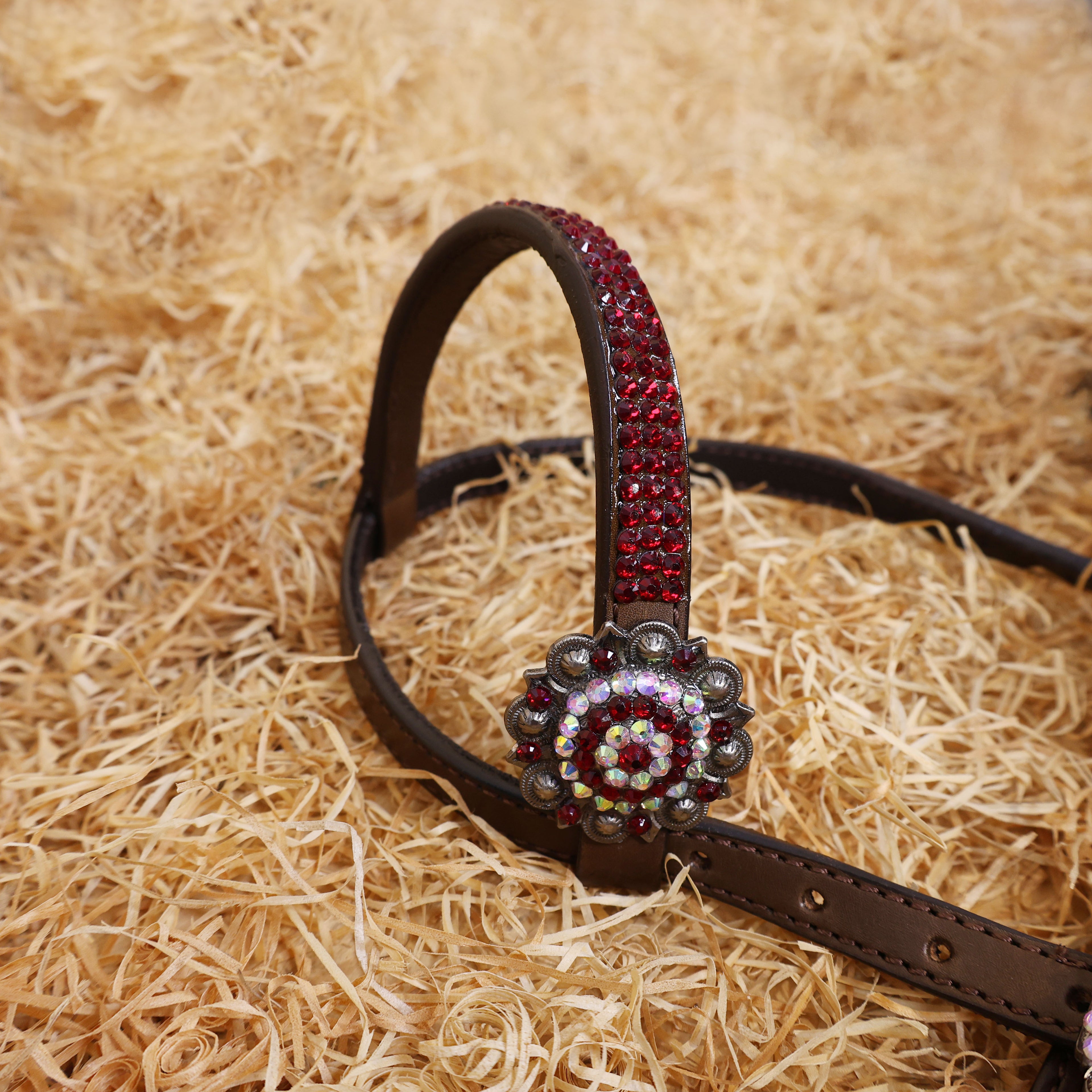 MOUSM Western Headstall and Breast Collar Set – Argentina Cow Leather Horse Tack Set Decorated with Red Rhinestones on Gladiator Breast Collar with Roping and Bling Conchos.