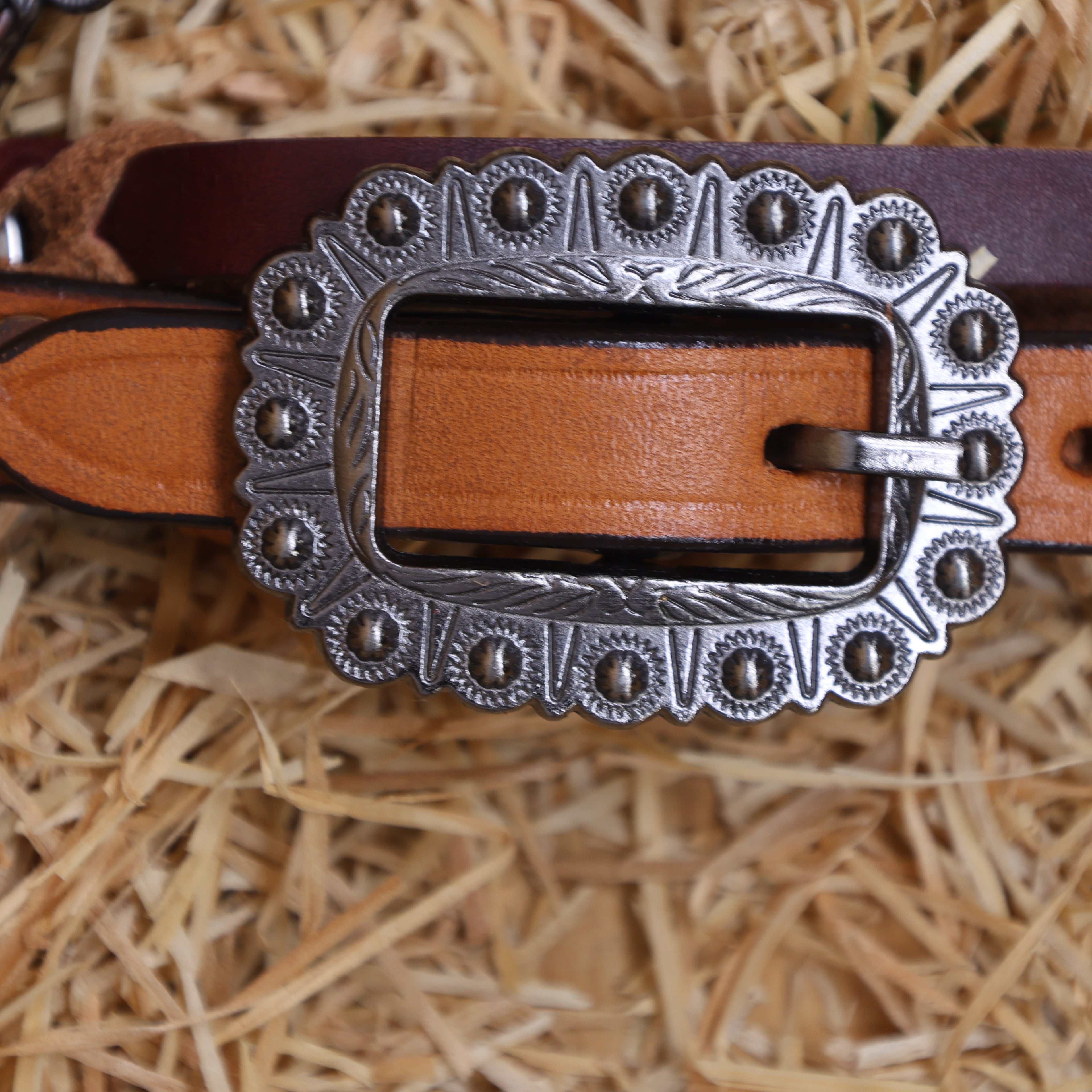 MOUSM Western Headstall and Breast Collar Set – Handcrafted from Genuine Argentina Cow Leather with Braided One-Ear Headstall & Cheek Piece, Stainless Steel Rings Breast Collar, Leather Strings & Congress Conchos