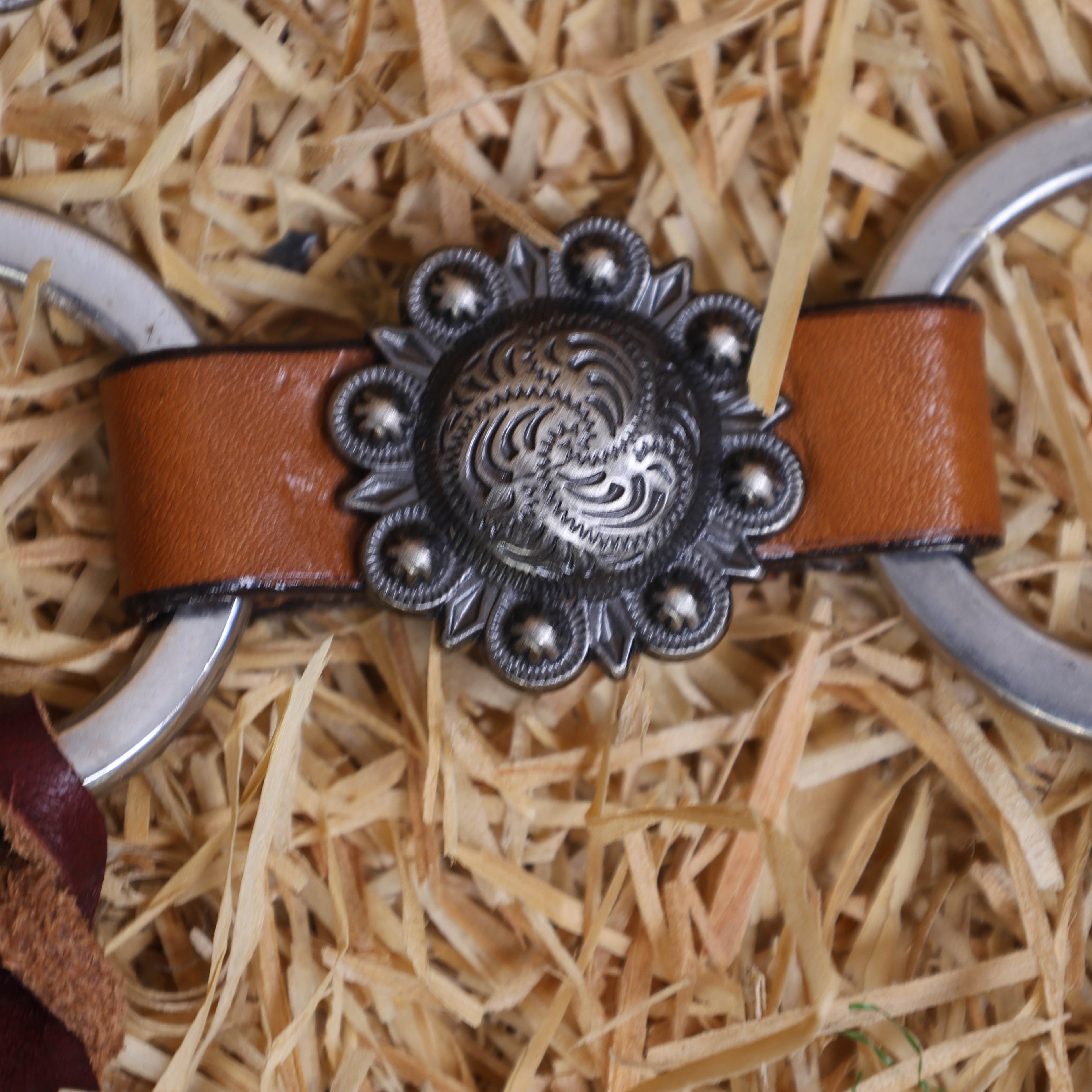 MOUSM Western Headstall and Breast Collar Set – Handcrafted from Genuine Argentina Cow Leather with Braided One-Ear Headstall & Cheek Piece, Stainless Steel Rings Breast Collar, Leather Strings & Congress Conchos