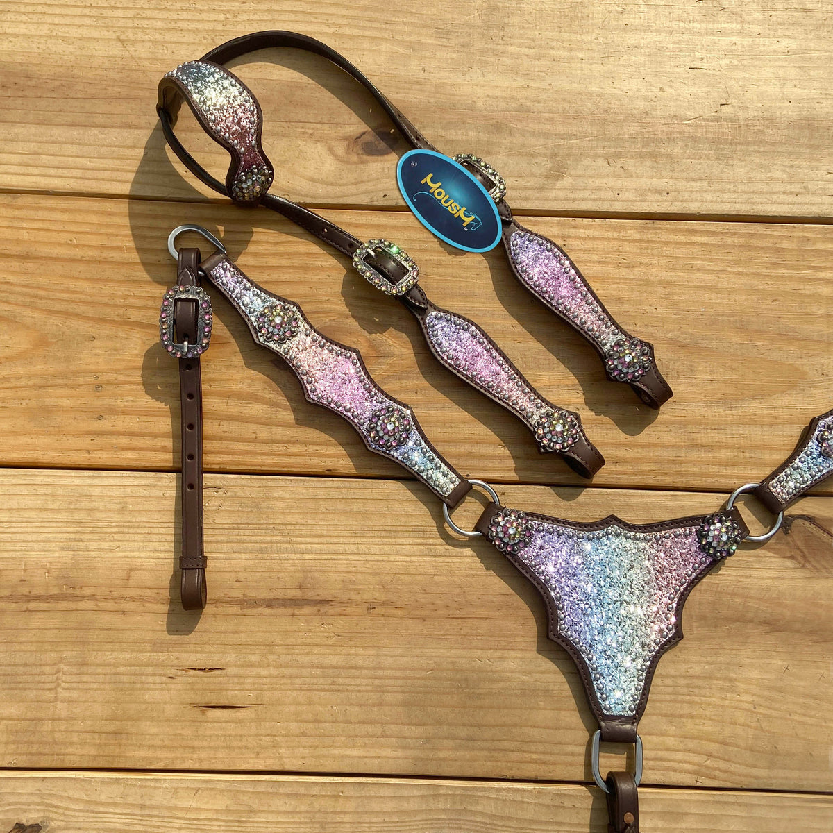 Rainbow Glitter Alligator with Rawhide Silver Studs Headstall Set