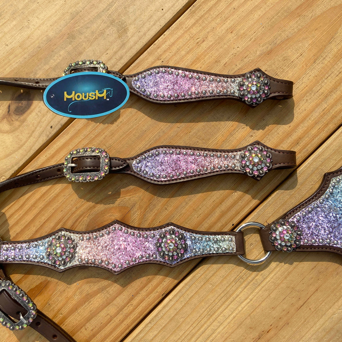Rainbow Glitter Alligator with Rawhide Silver Studs Headstall Set