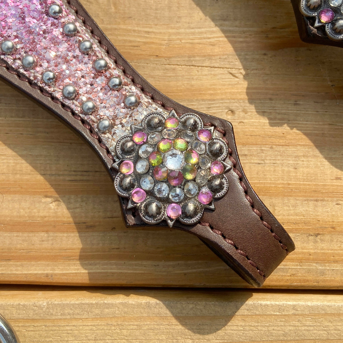 Rainbow Glitter Alligator with Rawhide Silver Studs Headstall Set