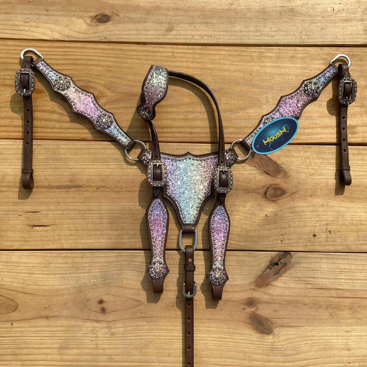 Rainbow Glitter Alligator with Rawhide Silver Studs Headstall Set
