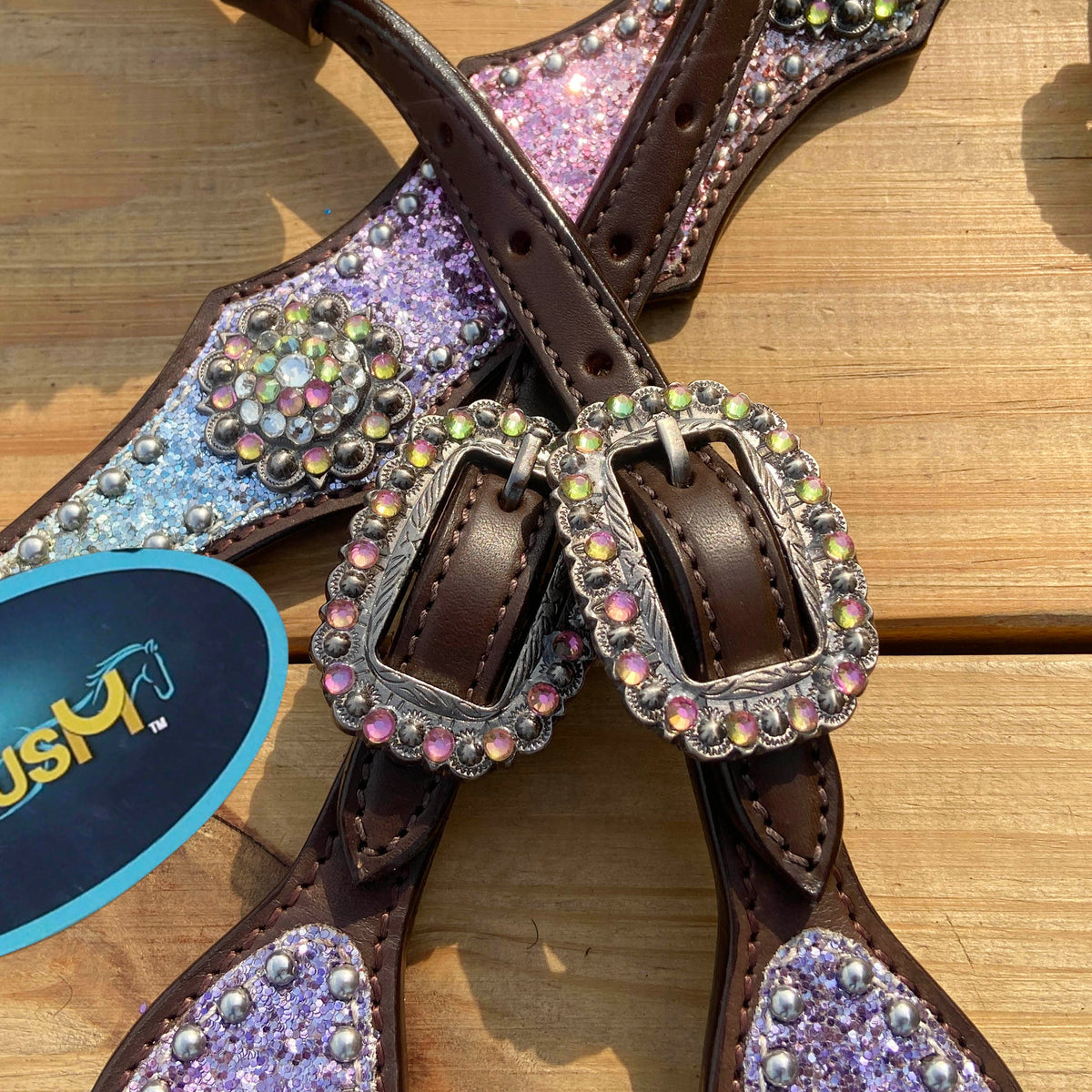 Rainbow Glitter Alligator with Rawhide Silver Studs Headstall Set