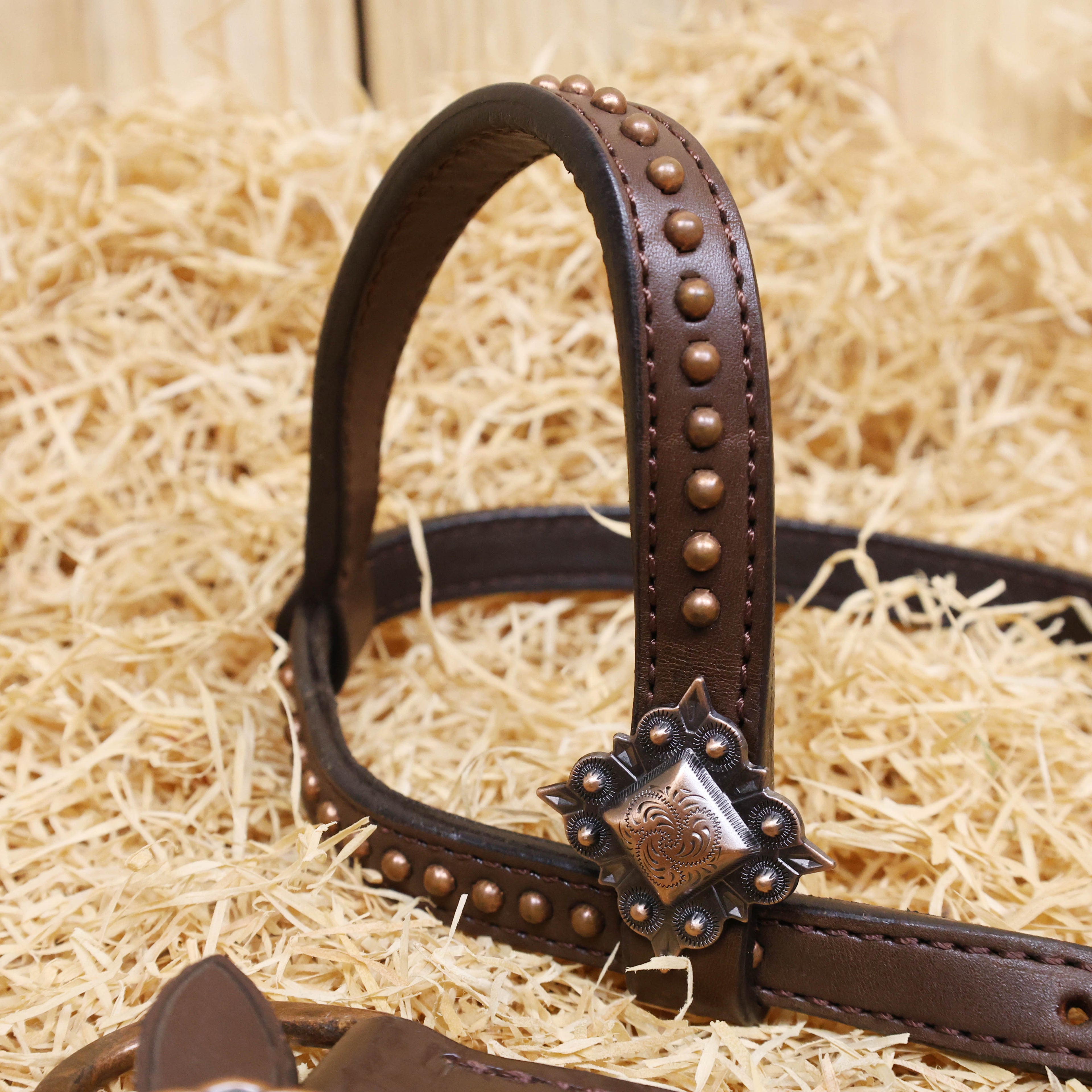 MOUSM Western Headstall & Breast Collar Set – Made from Argentina Cow Leather, Crafted Hand-Tooled & Hand-Painted Feather Carving, Square Berry Conchos