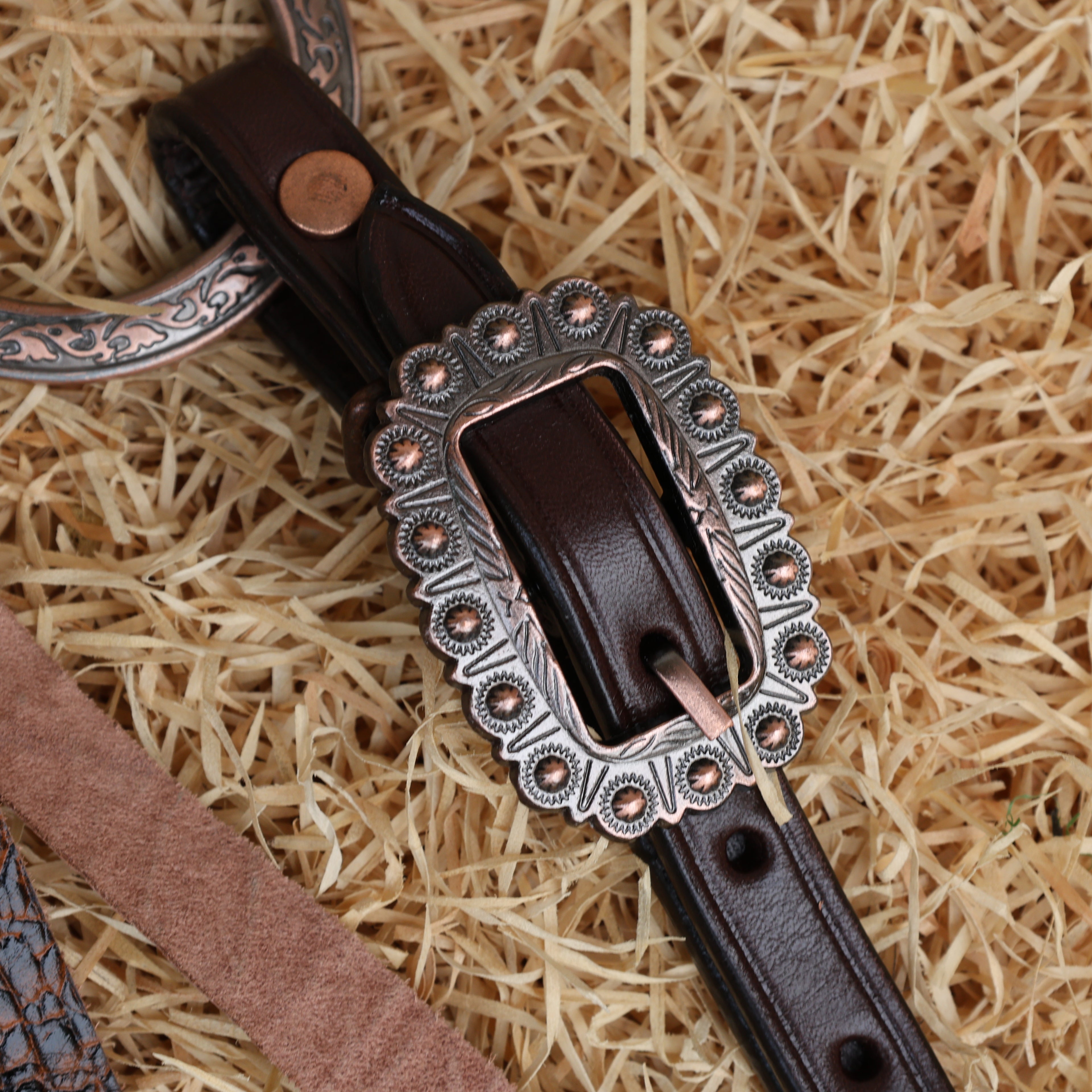 MOUSM Western Ring Headstall and Breast Collar Set – Decorated with Antique Nickel Rings, Metallic Leopard Leather Fringe on Brown Leather Braided Browband and Cheekpiece