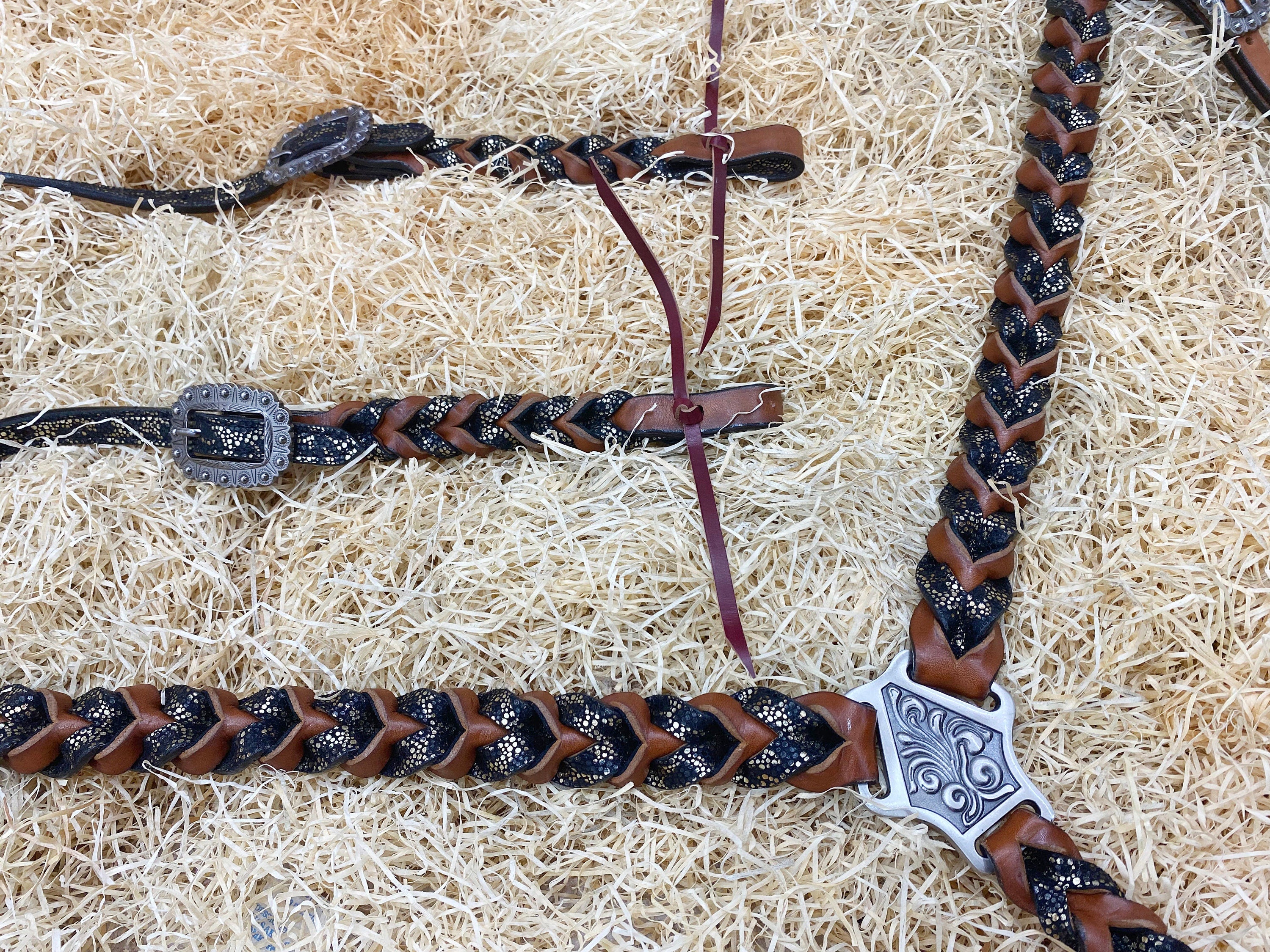 MOUSM Argentina Cow Leather Bridle & Breast Collar Set – Western Headstall for Horses Decorated with Teal Alligator and Dark Brown Braiding, Antique Copper Hardware