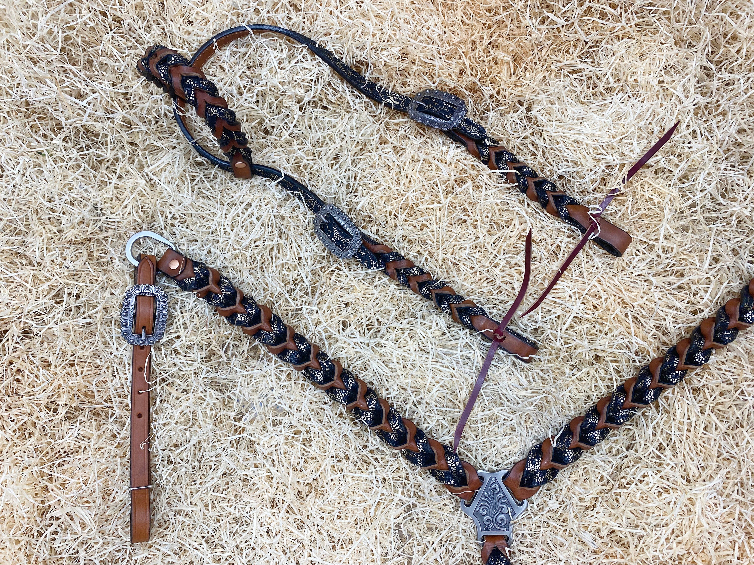 MOUSM Argentina Cow Leather Bridle & Breast Collar Set – Western Headstall for Horses Decorated with Teal Alligator and Dark Brown Braiding, Antique Copper Hardware