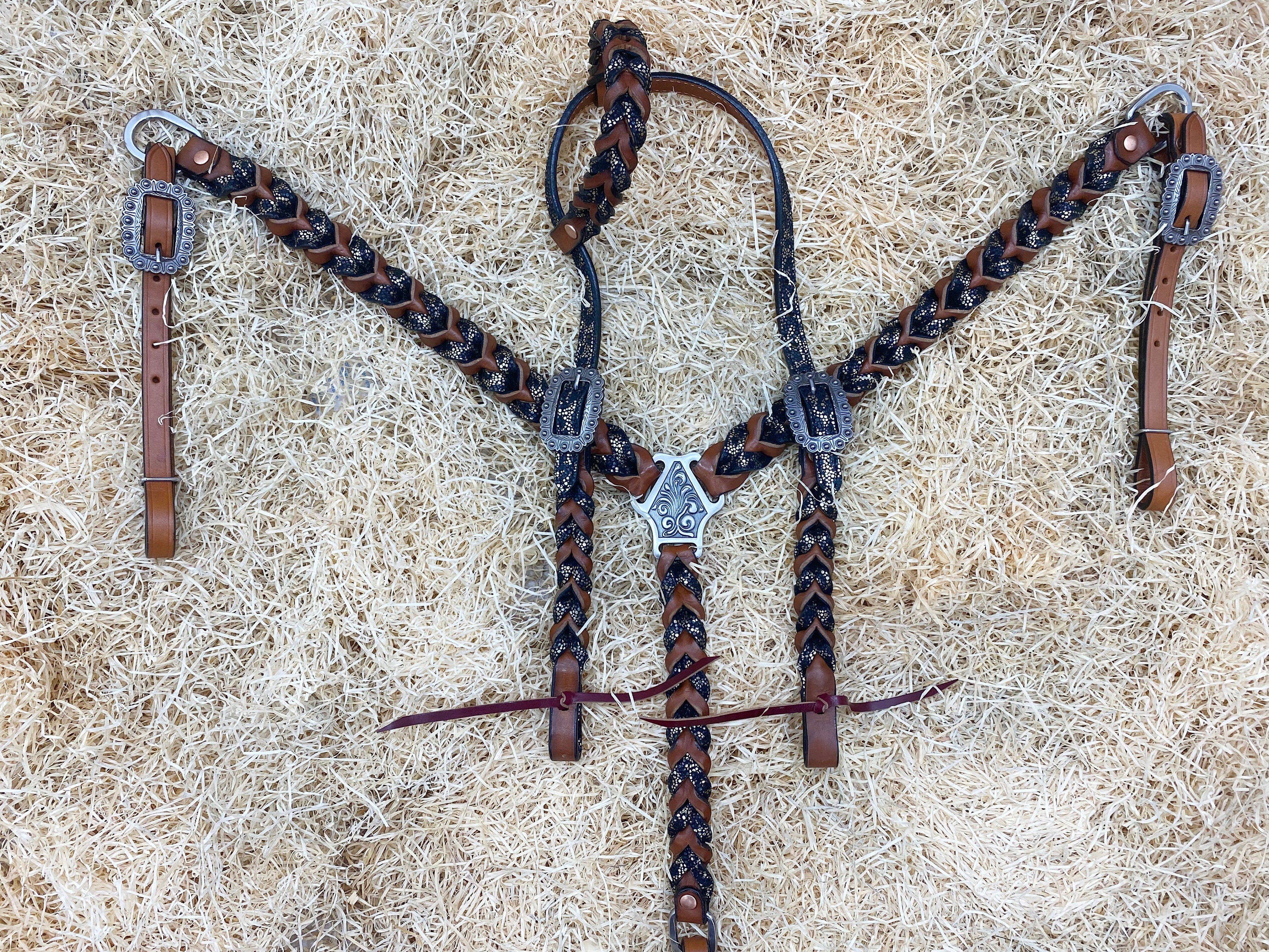 MOUSM Argentina Cow Leather Bridle & Breast Collar Set – Western Headstall for Horses Decorated with Teal Alligator and Dark Brown Braiding, Antique Copper Hardware