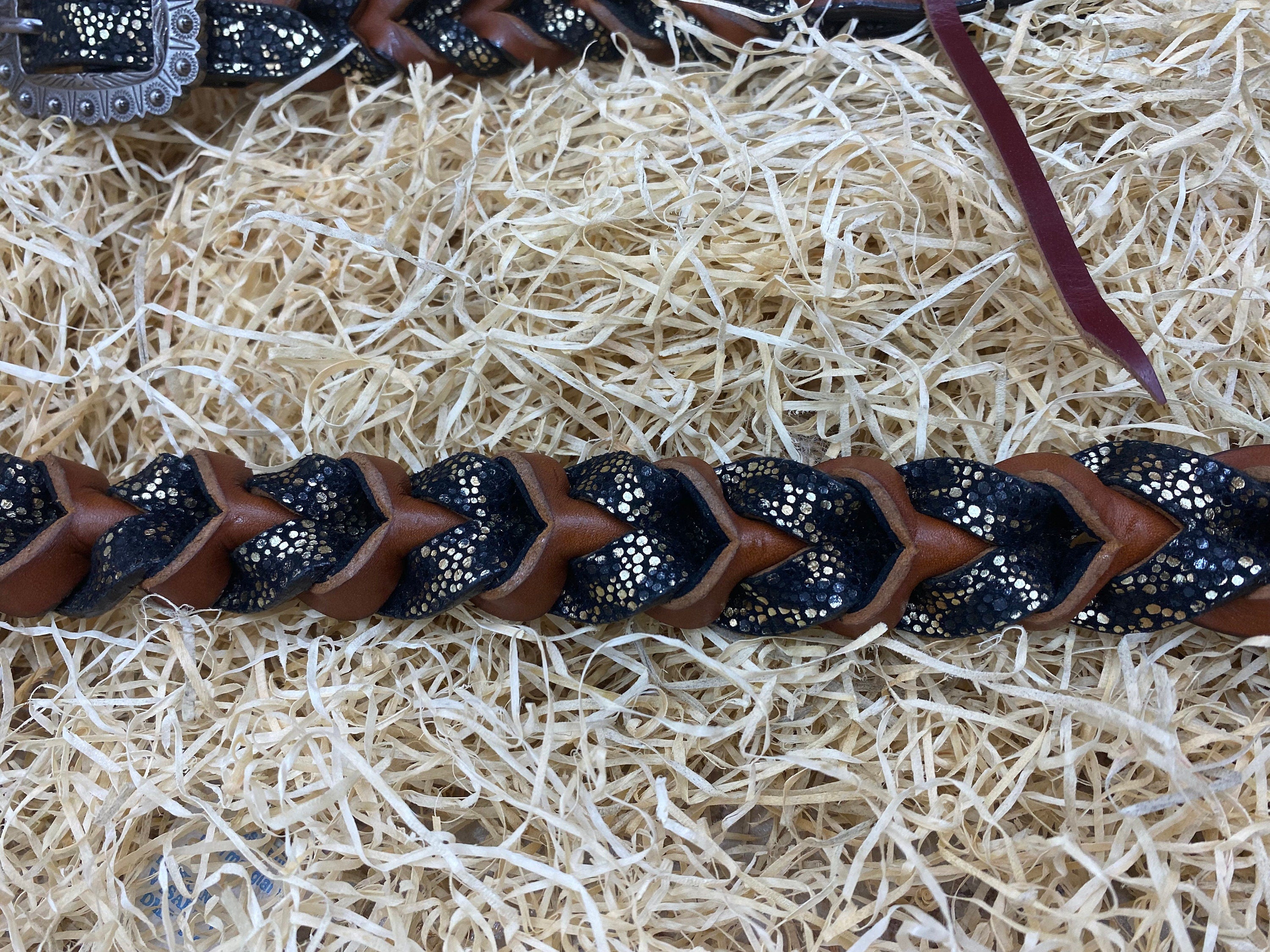 MOUSM Argentina Cow Leather Bridle & Breast Collar Set – Western Headstall for Horses Decorated with Teal Alligator and Dark Brown Braiding, Antique Copper Hardware