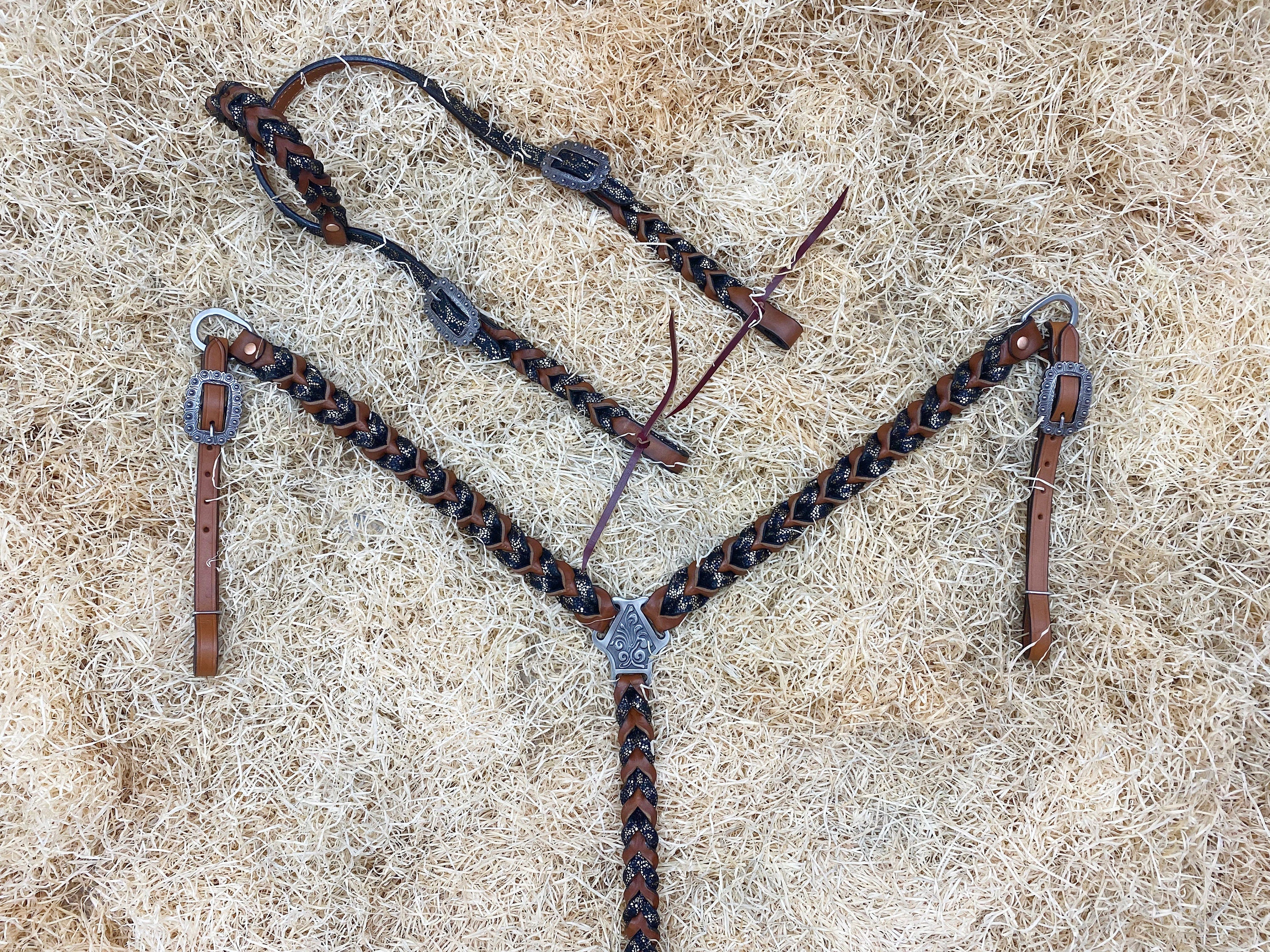 MOUSM Argentina Cow Leather Bridle & Breast Collar Set – Western Headstall for Horses Decorated with Teal Alligator and Dark Brown Braiding, Antique Copper Hardware