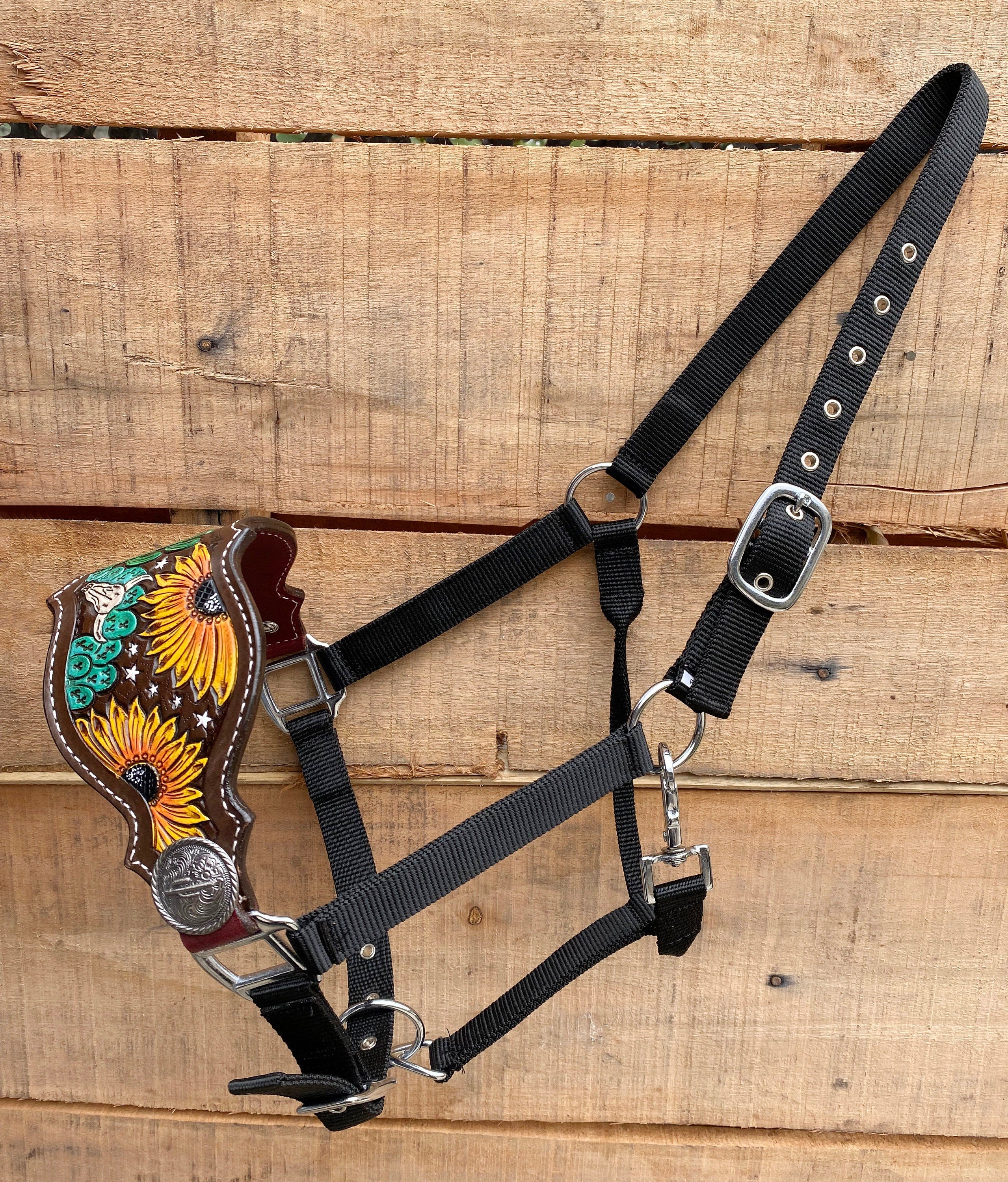 MOUSM Argentina Cow Leather Bronc Halter – Western Halter for Horse Decorated with Hand-Craved & Hand-Painted Sunflower, Cactus & Stars Carving, Emblem Cactus Conchos