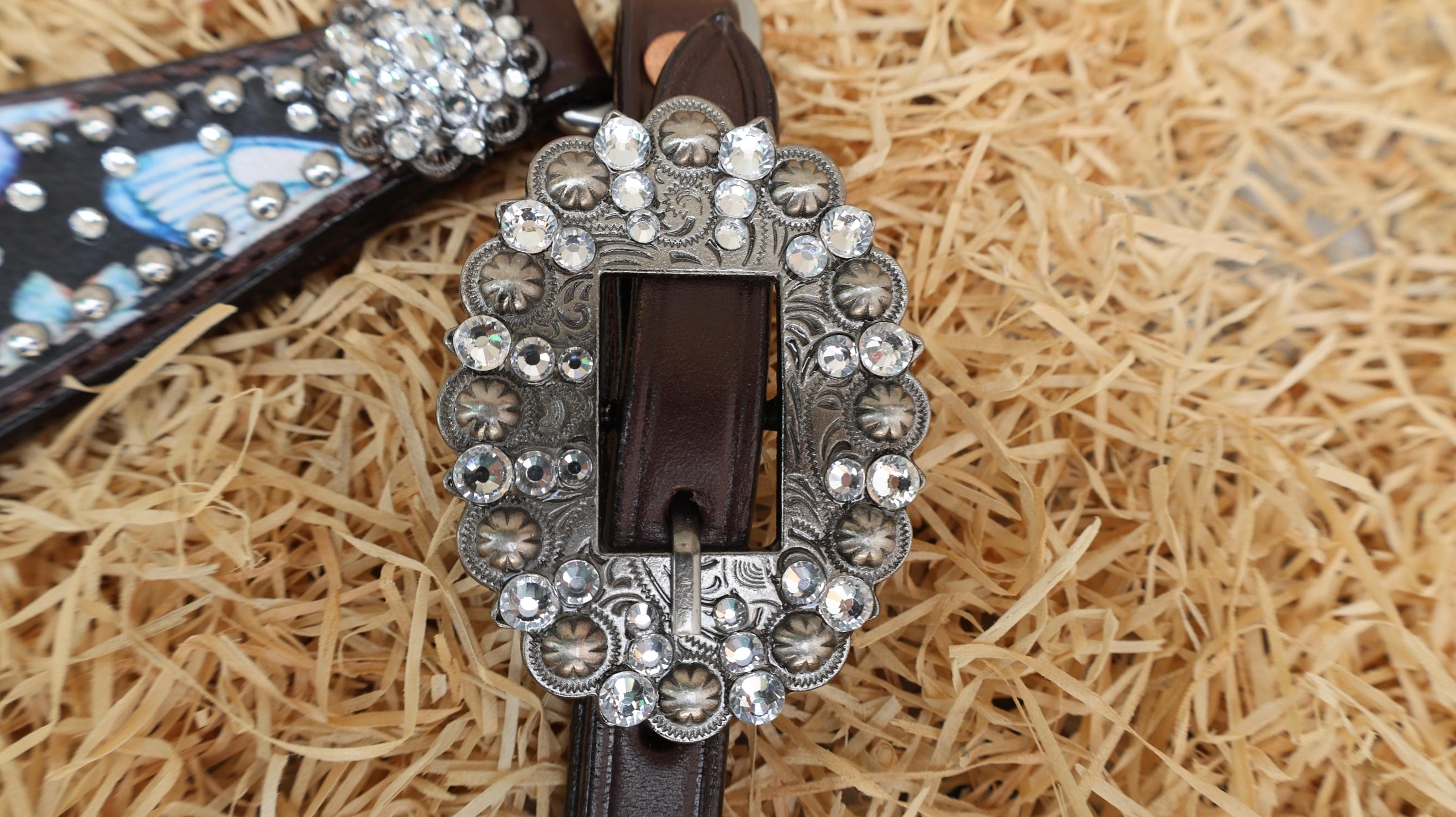 Western Leather Horse Tack Set – Headstall & Breast Collar Decorated with Blue & Turquoise Butterflies with Silver Rhinestone Conchos