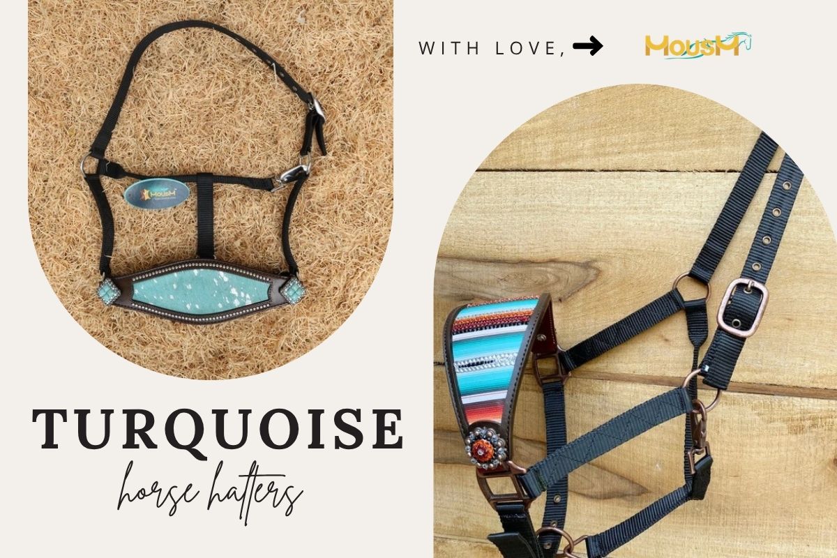 Choosing a Western Style Horse Halter with Turquoise and Bronc Print
