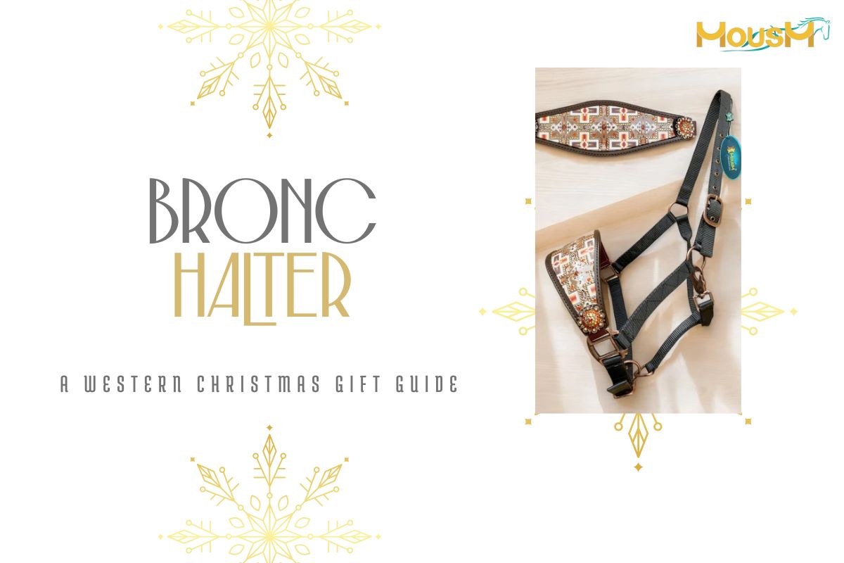 Christmas Gift Ideas for Horse Lovers: Choosing a Western Bronc Halter