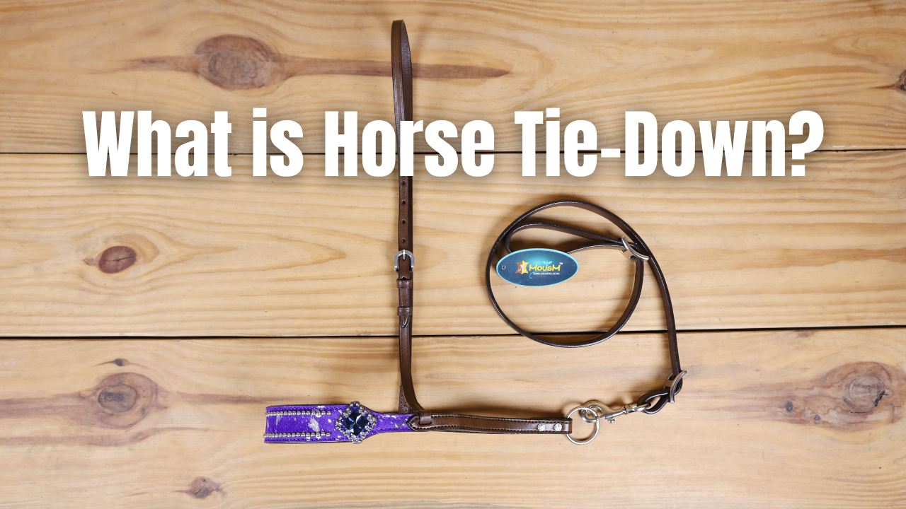 What is Horse Tie-Down?