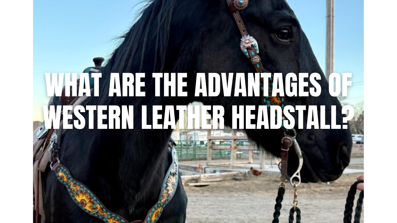 What are the Advantages of Western Leather Headstall?
