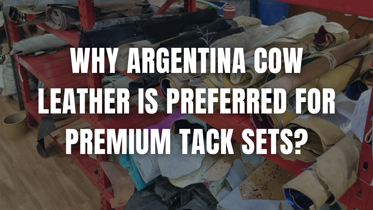 Why Argentina Cow Leather is Preferred for Premium Tack Sets?