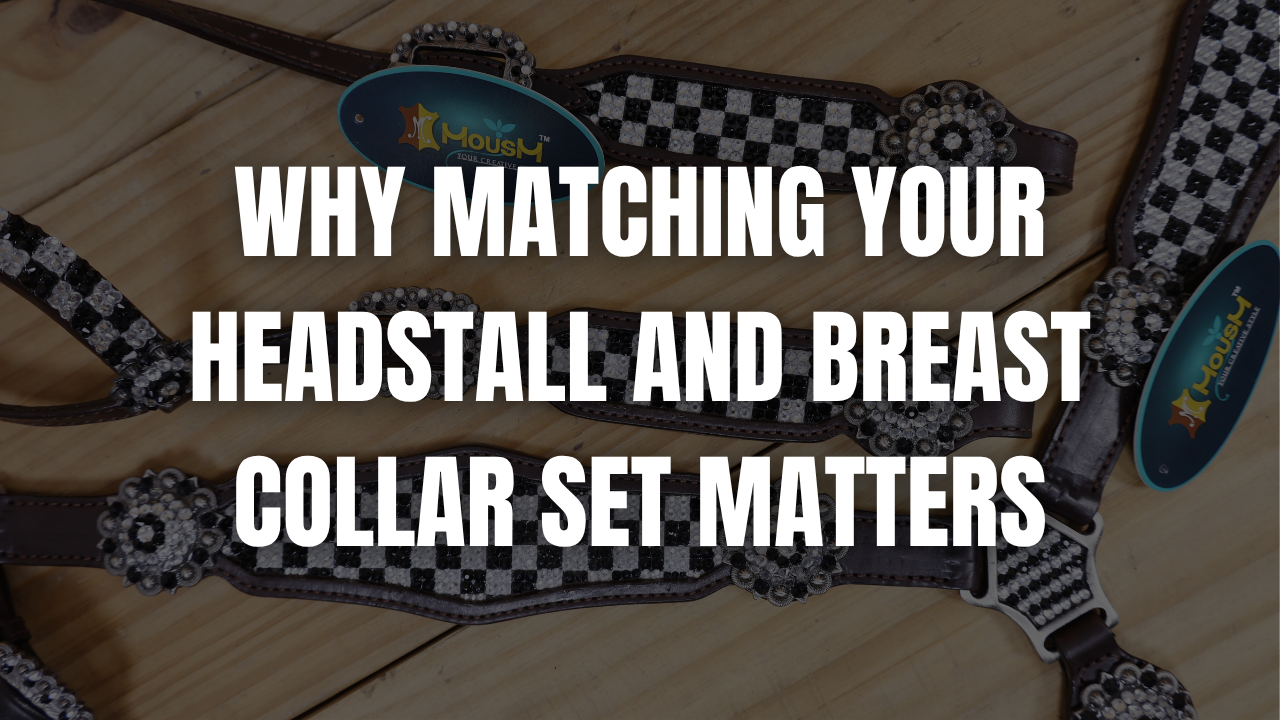 Why Matching Your Headstall and Breast Collar Set Matters