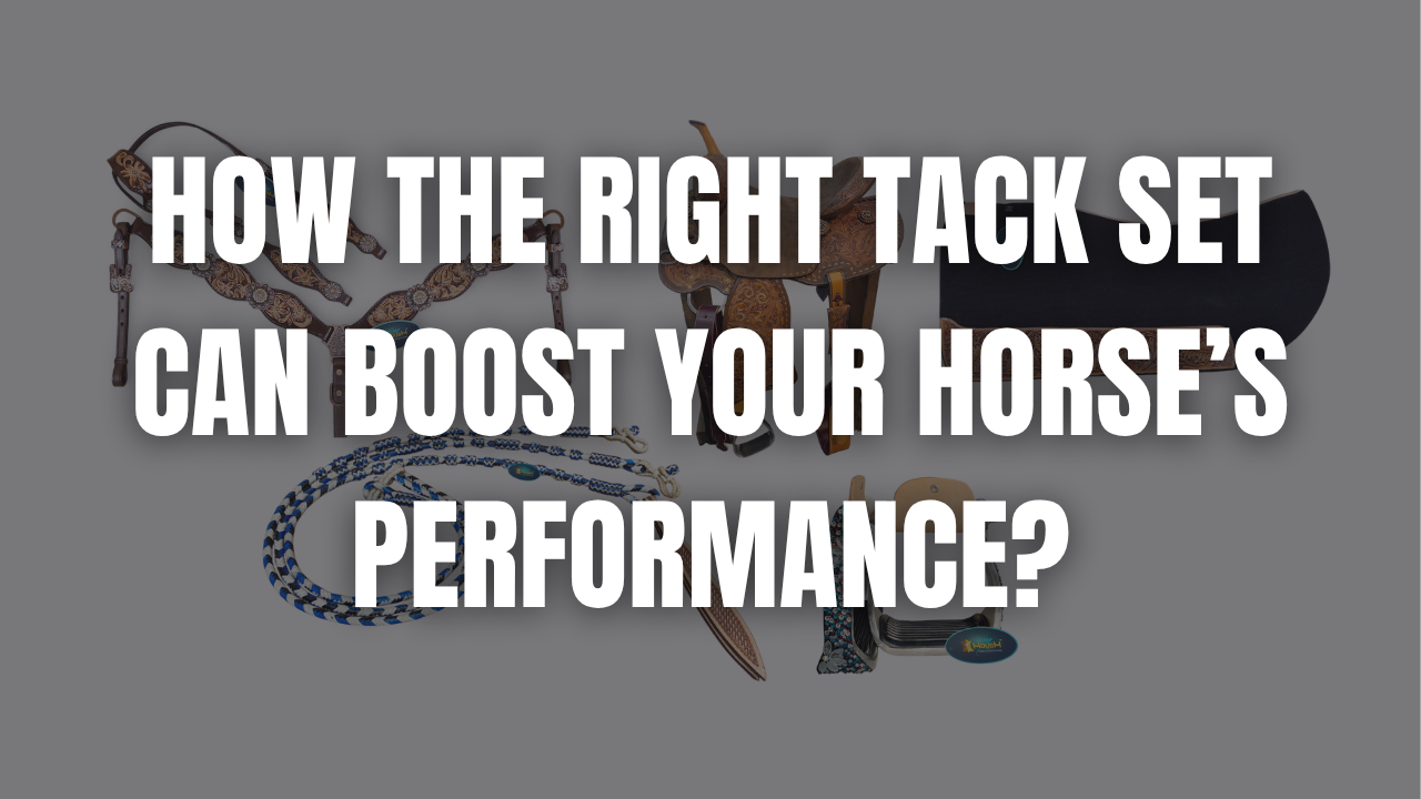 How the Right Tack Set Can Boost Your Horse’s Performance?