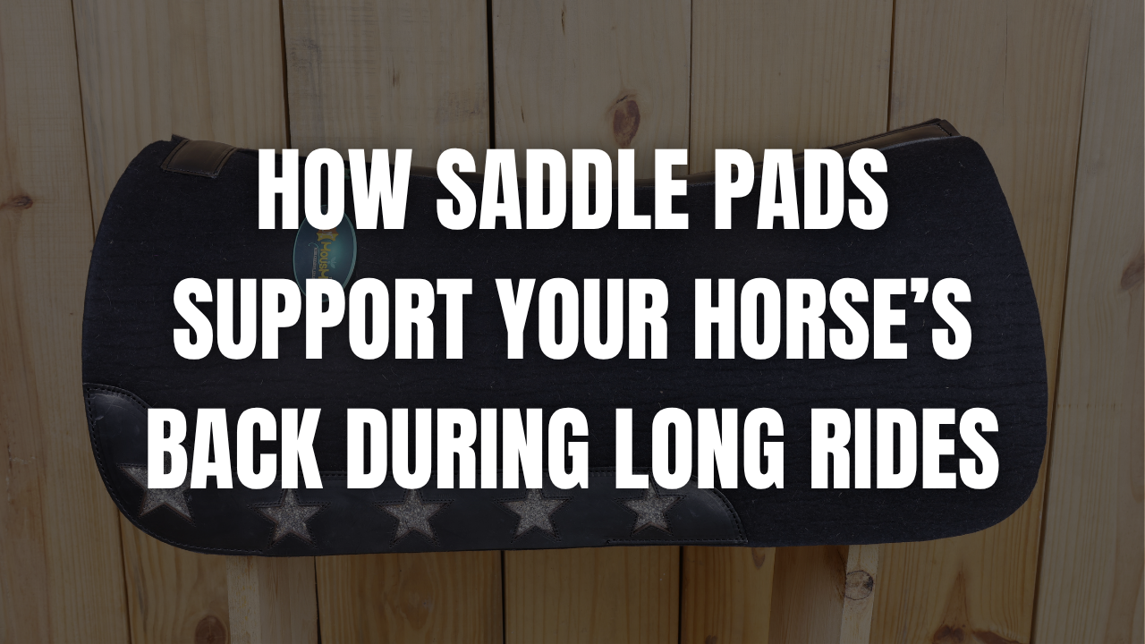 How Saddle Pads Support Your Horse’s Back During Long Rides