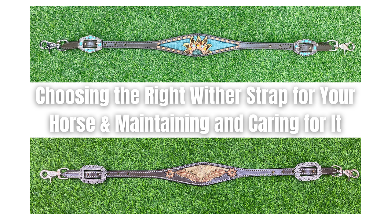 Choosing the Right Wither Strap for Your Horse & Maintaining and Caring for It