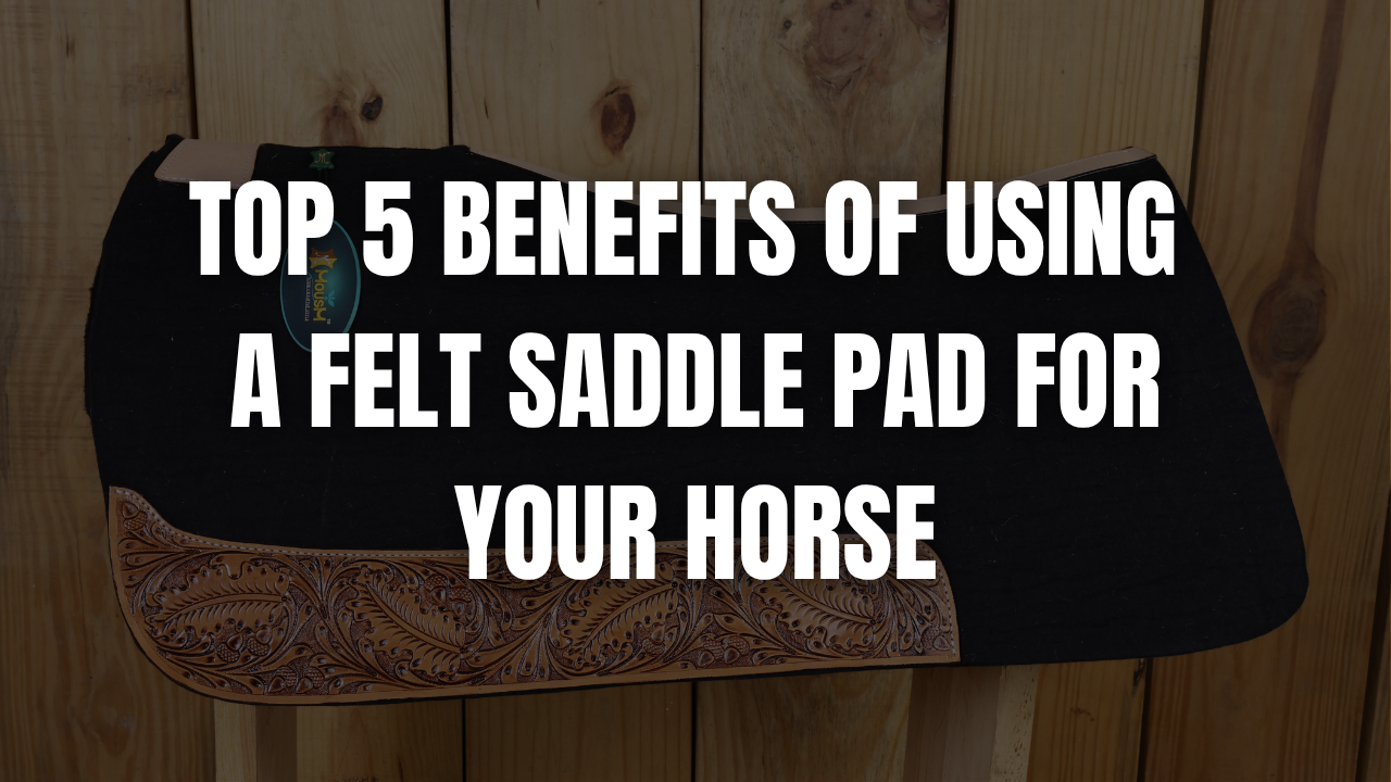 Top 5 Benefits of Using a Felt Saddle Pad for Your Horse