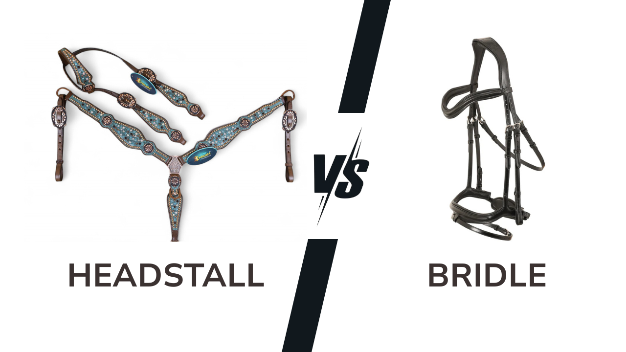 Western Headstall vs. Bridle: What’s the Difference?