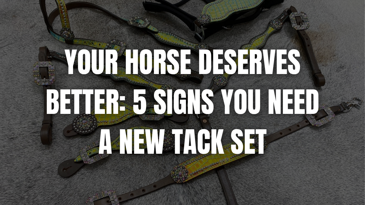 Your Horse Deserves Better: 5 Signs You Need a New Tack Set