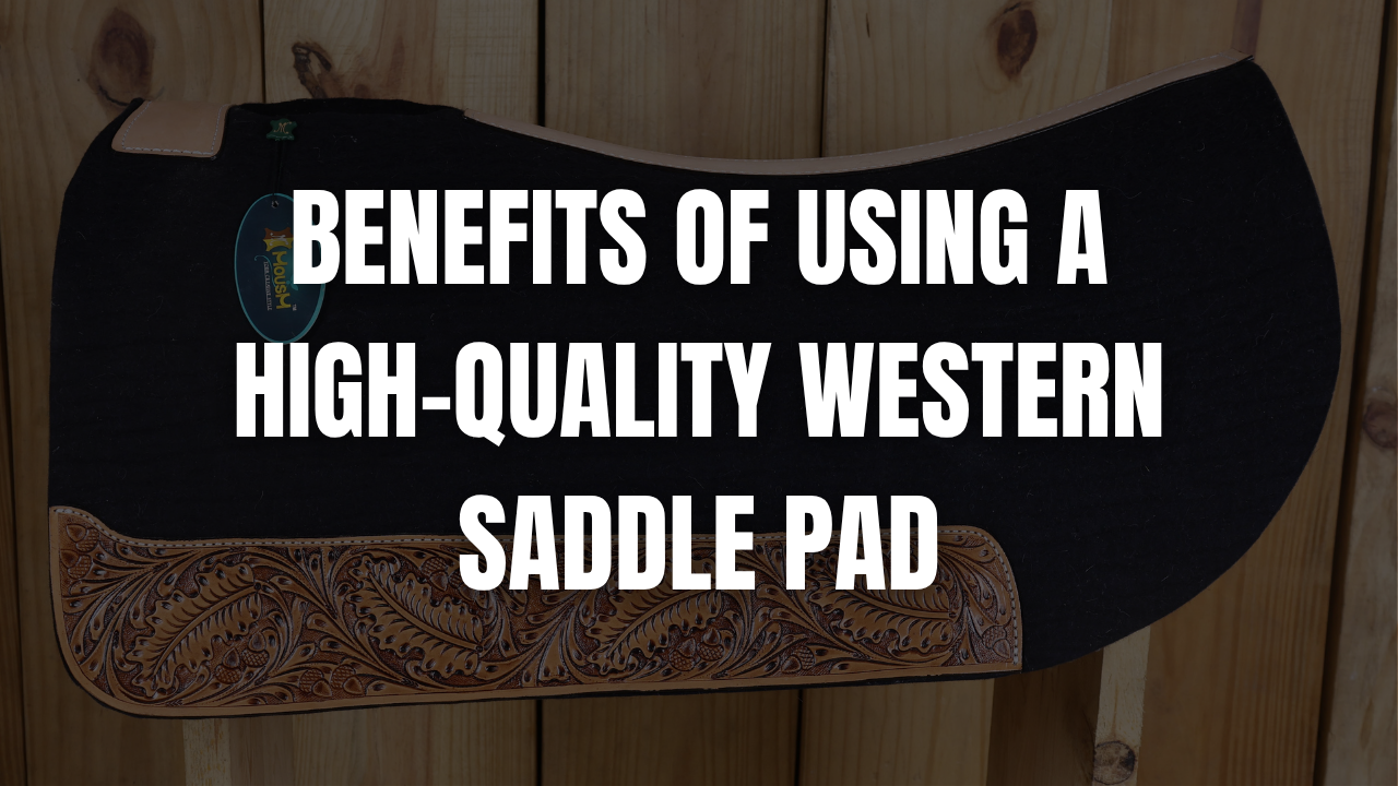 Benefits of Using a High-Quality Western Saddle Pad