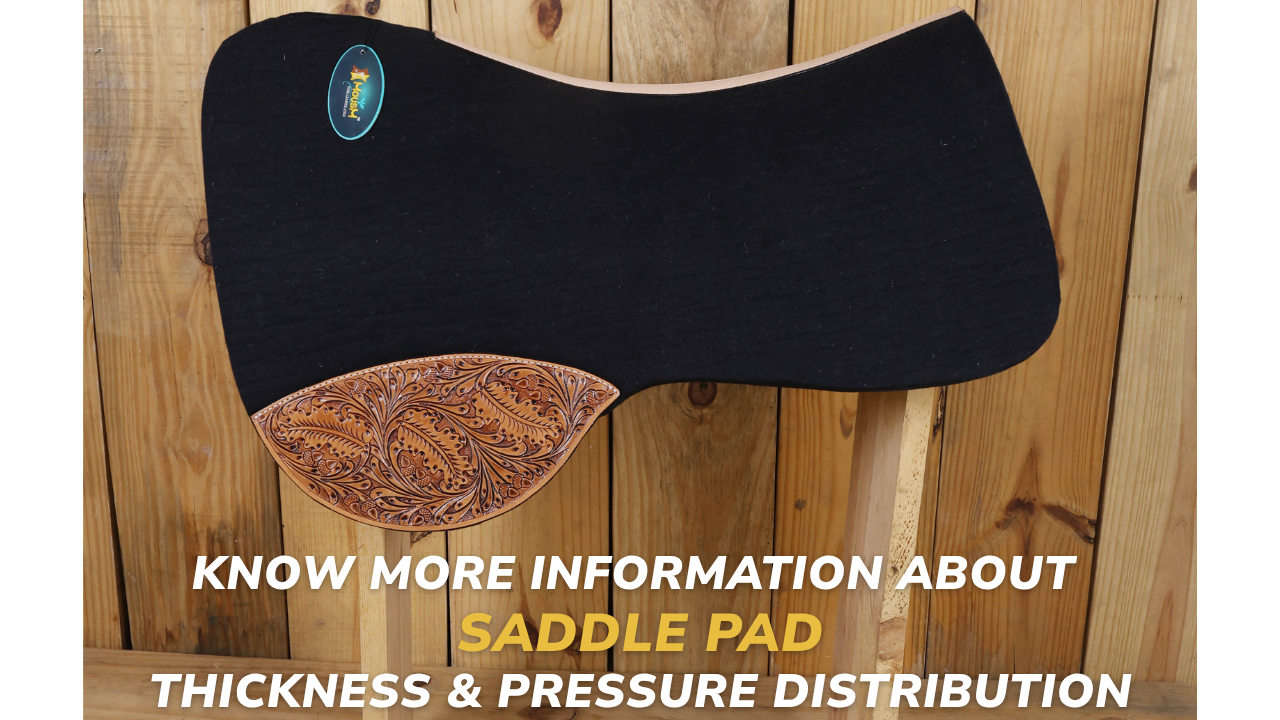Know More Information Behind Saddle Pad Thickness & Pressure Distribution