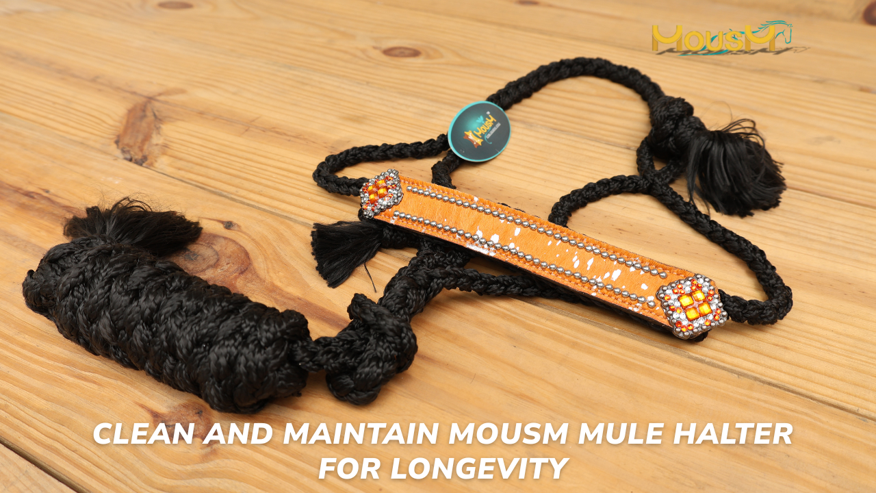 How to Clean and Maintain MOUSM Mule Halter for Longevity – Mousm