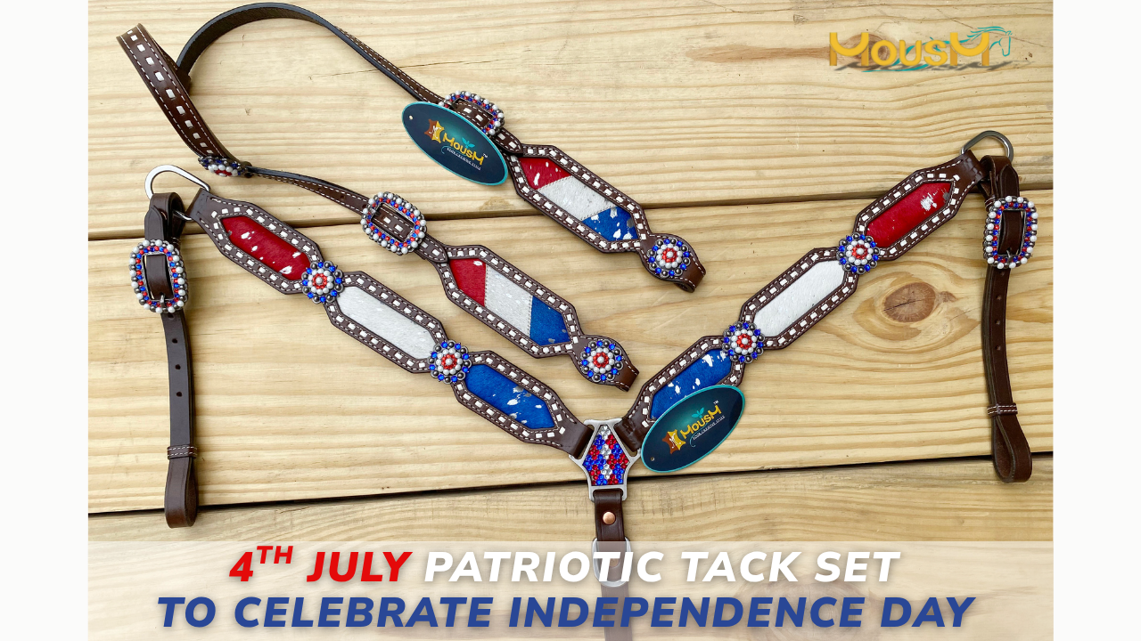 Patriotic Tack Set Styles to Celebrate Independence Day