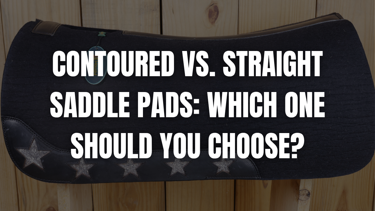 Contoured vs. Straight Saddle Pads: Which One Should You Choose?