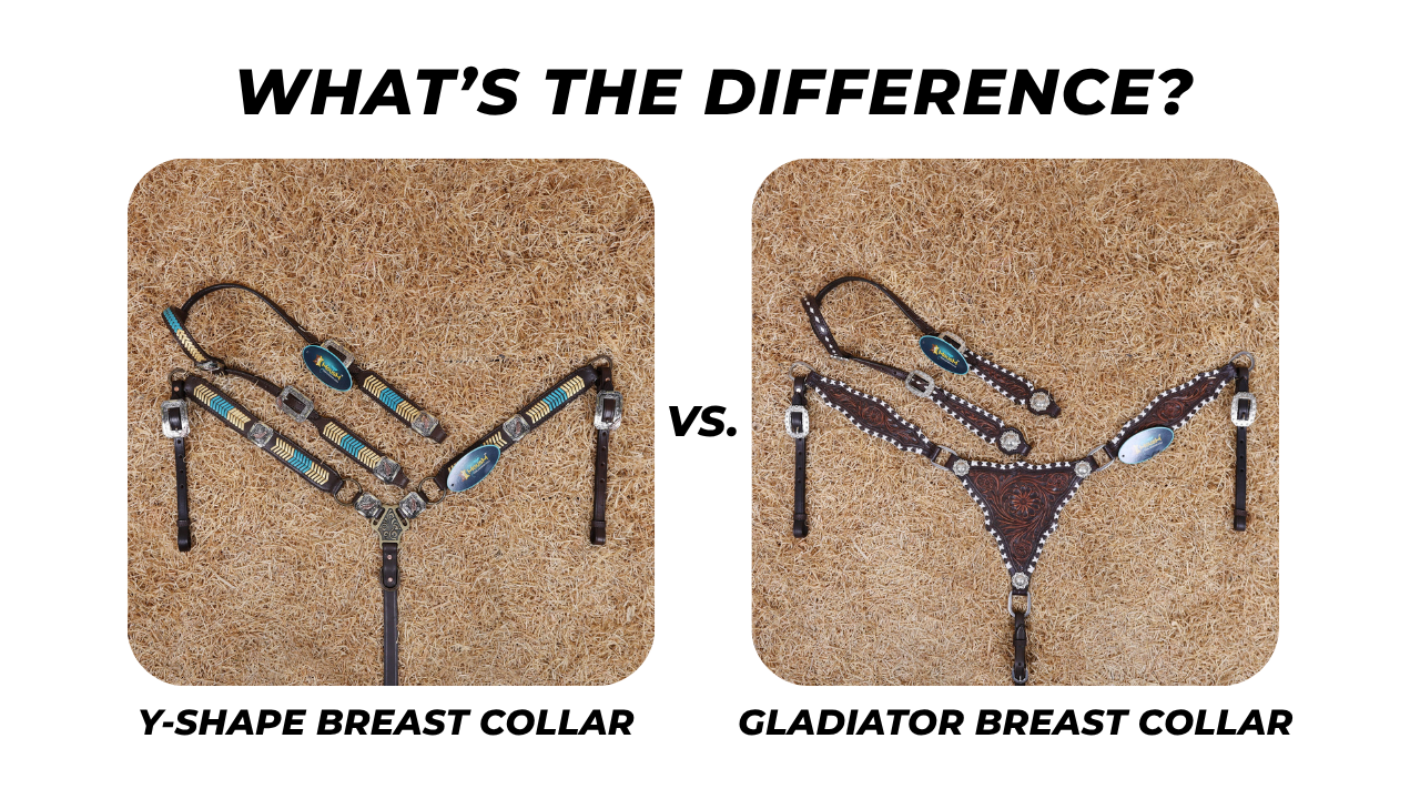 Y-Breast Collar vs. Gladiator Breast Collar in Western Riding: What’s the Difference?