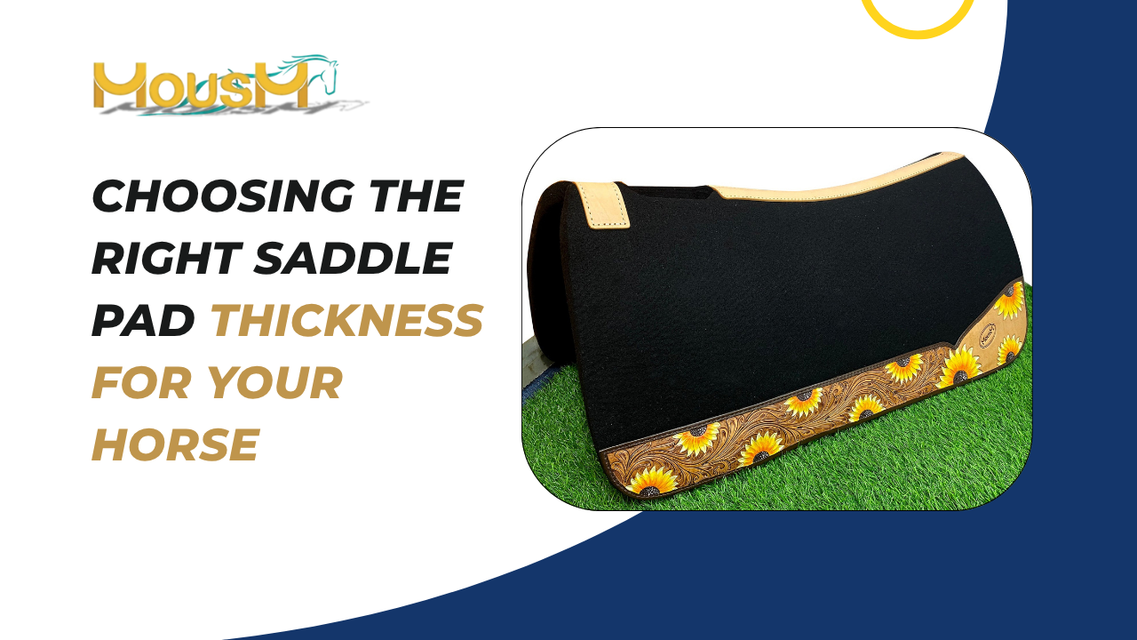 Choosing the Right Saddle Pad Thickness for Your Horse