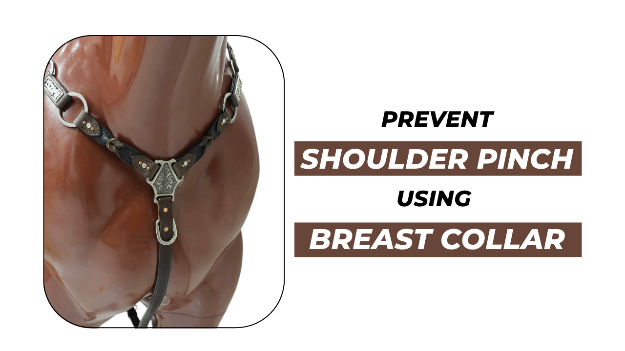 How to Prevent Shoulder Pinch with the Right Breast Collar Fit